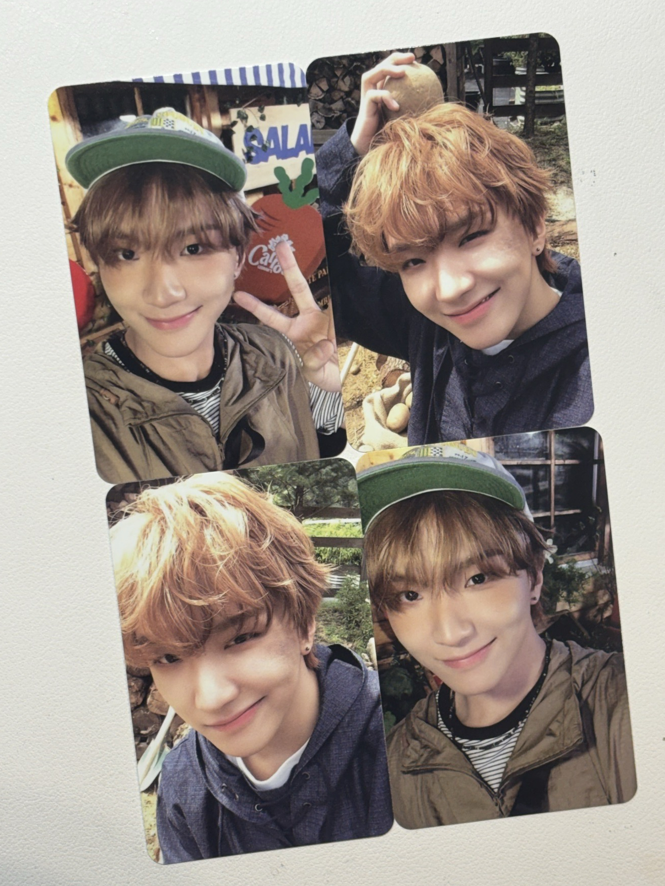 雲鶴 26年曆卡【可直拍】