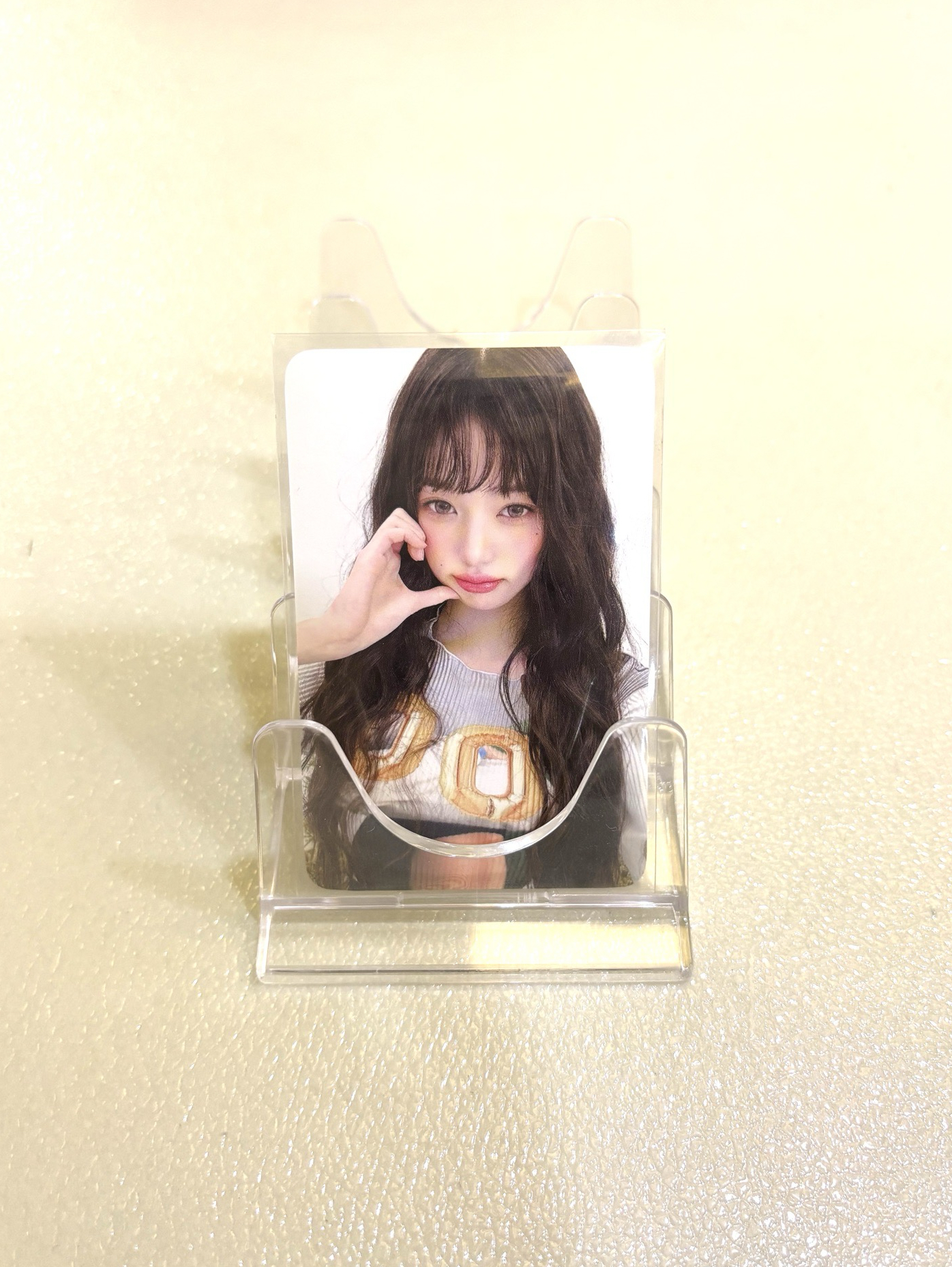 【現貨】圓 Hapa Kristin 代言卡