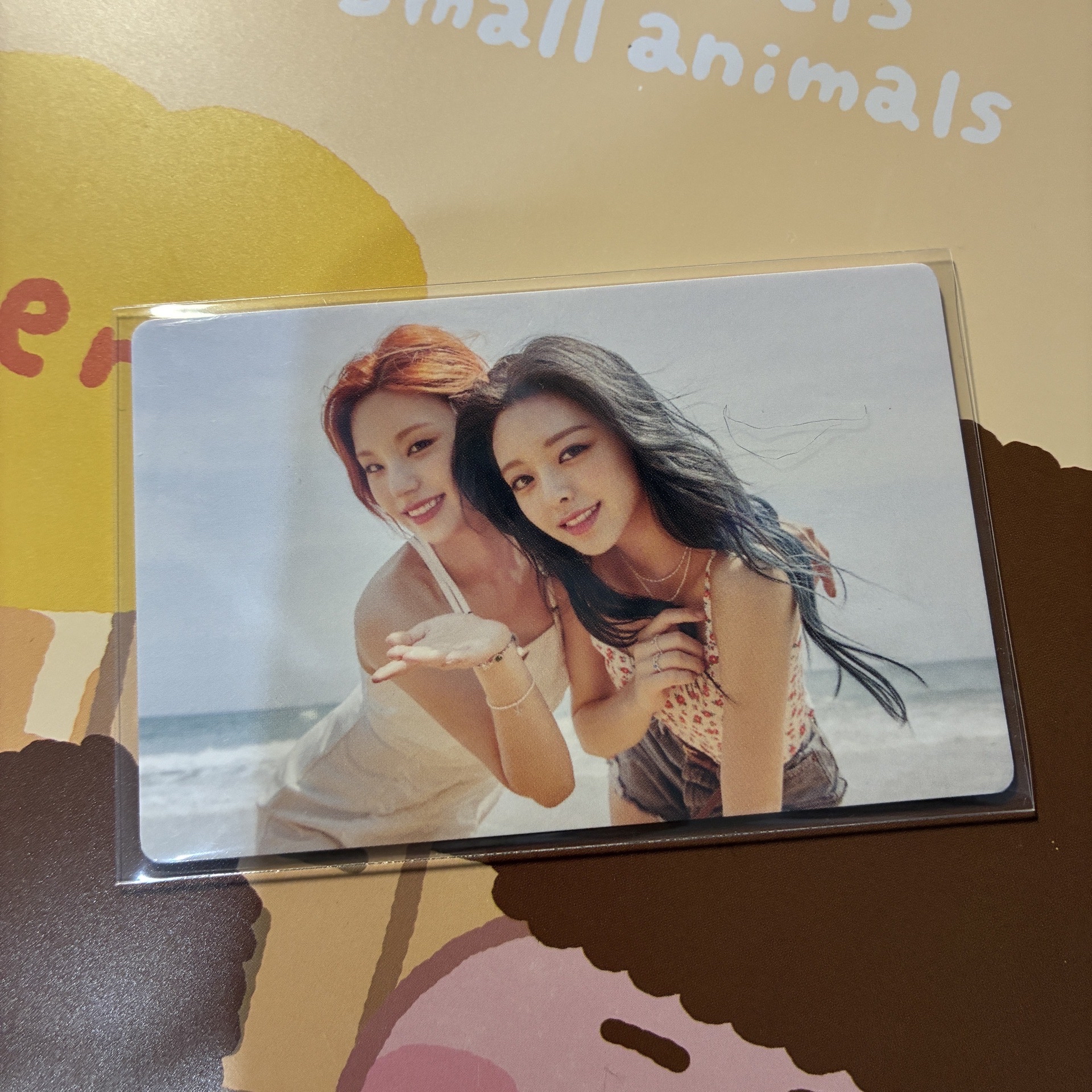 ITZY｜濟州島雙人卡 夜遊 志娜 海邊