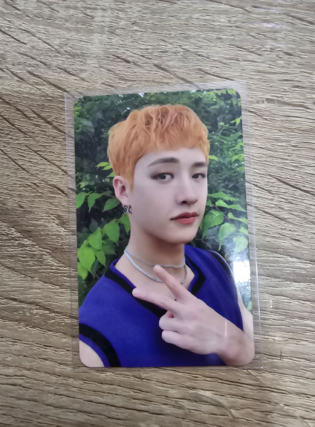 🐺燦 二期會員禮 小卡