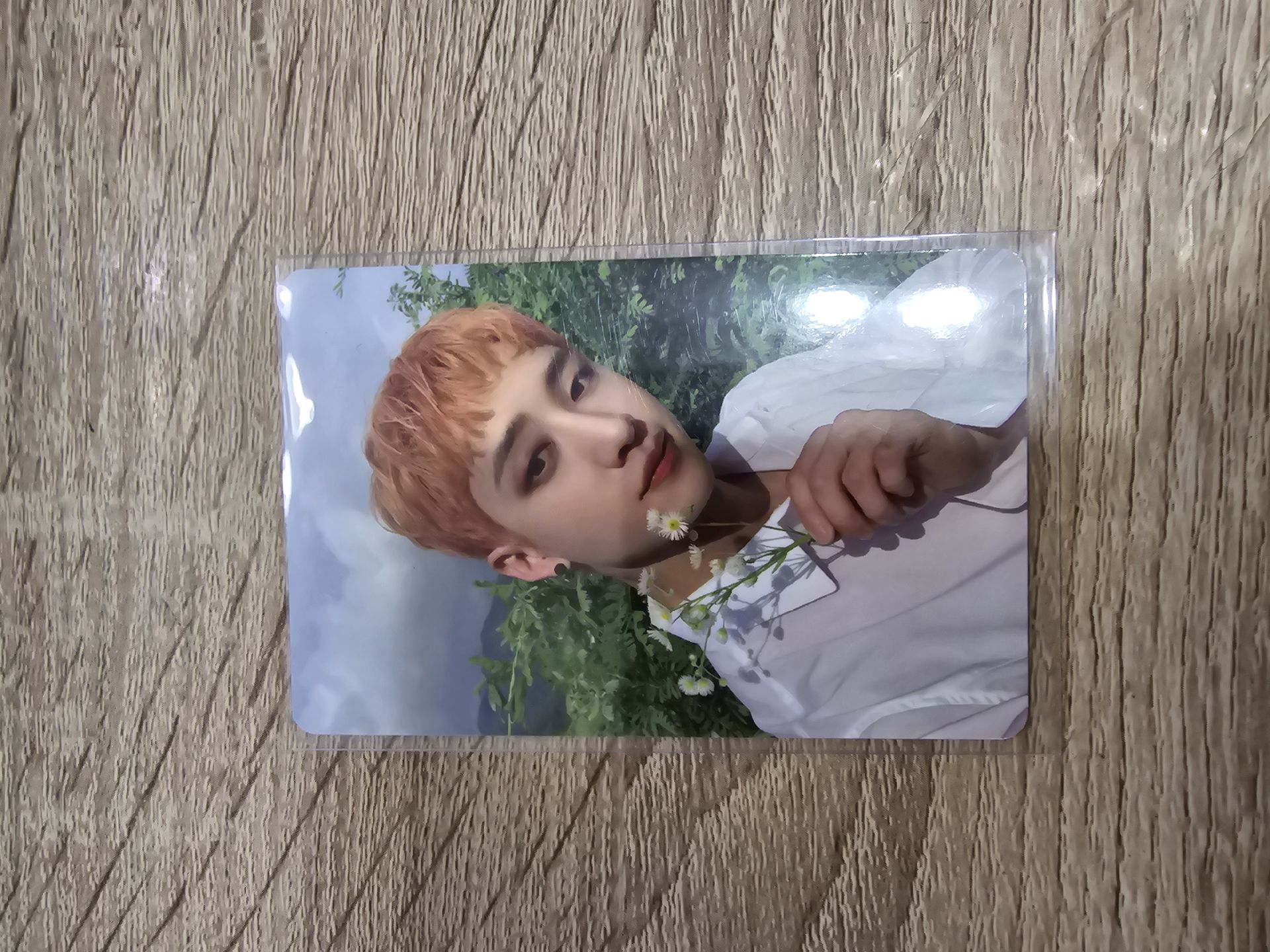 🐺燦 NOEASY 專卡