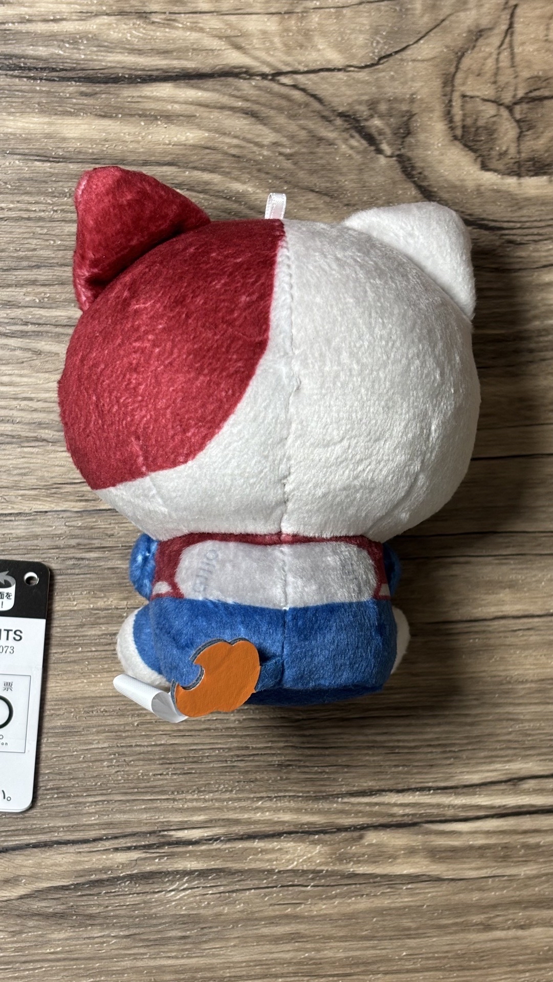 【可直拍】焦凍貓