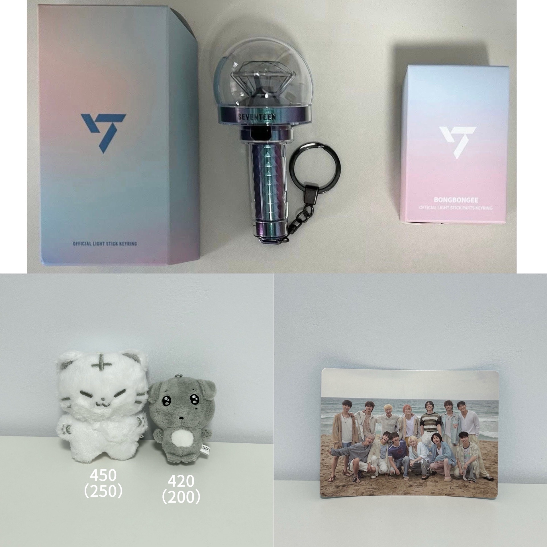 迷12 wvs團照特典