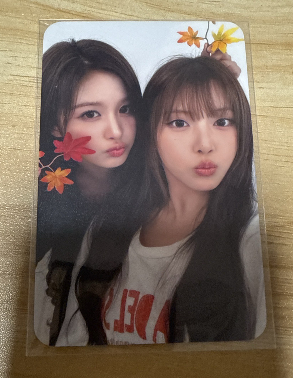 薛友雙人 入場卡