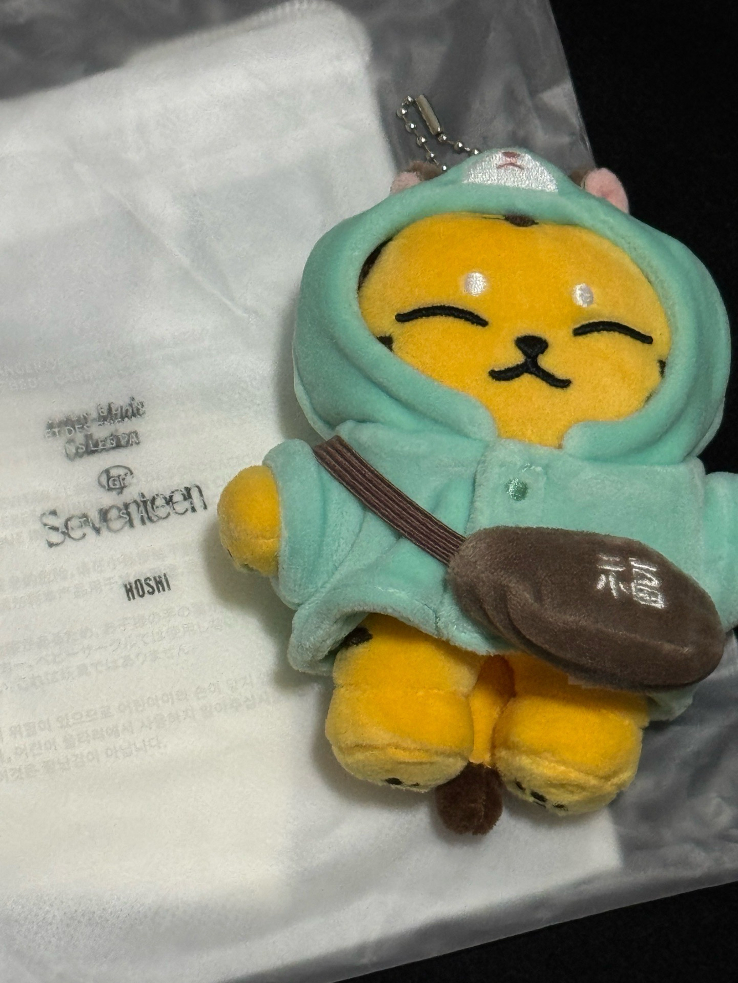 🩵成員自製-小眈眈（附製程/小卡）