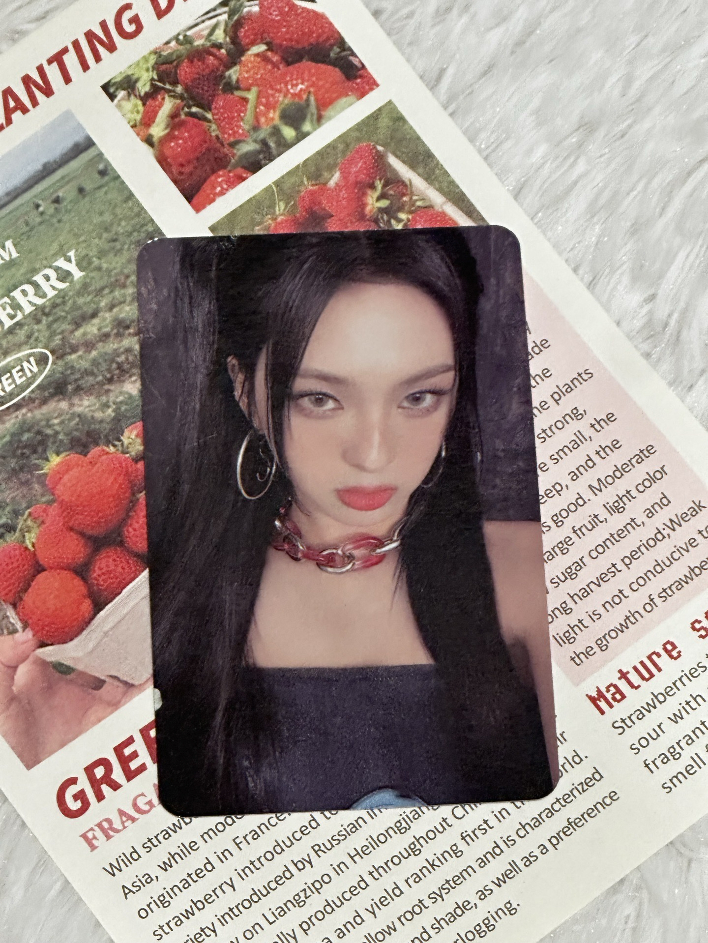 首爾快閃隨機卡（自拍）