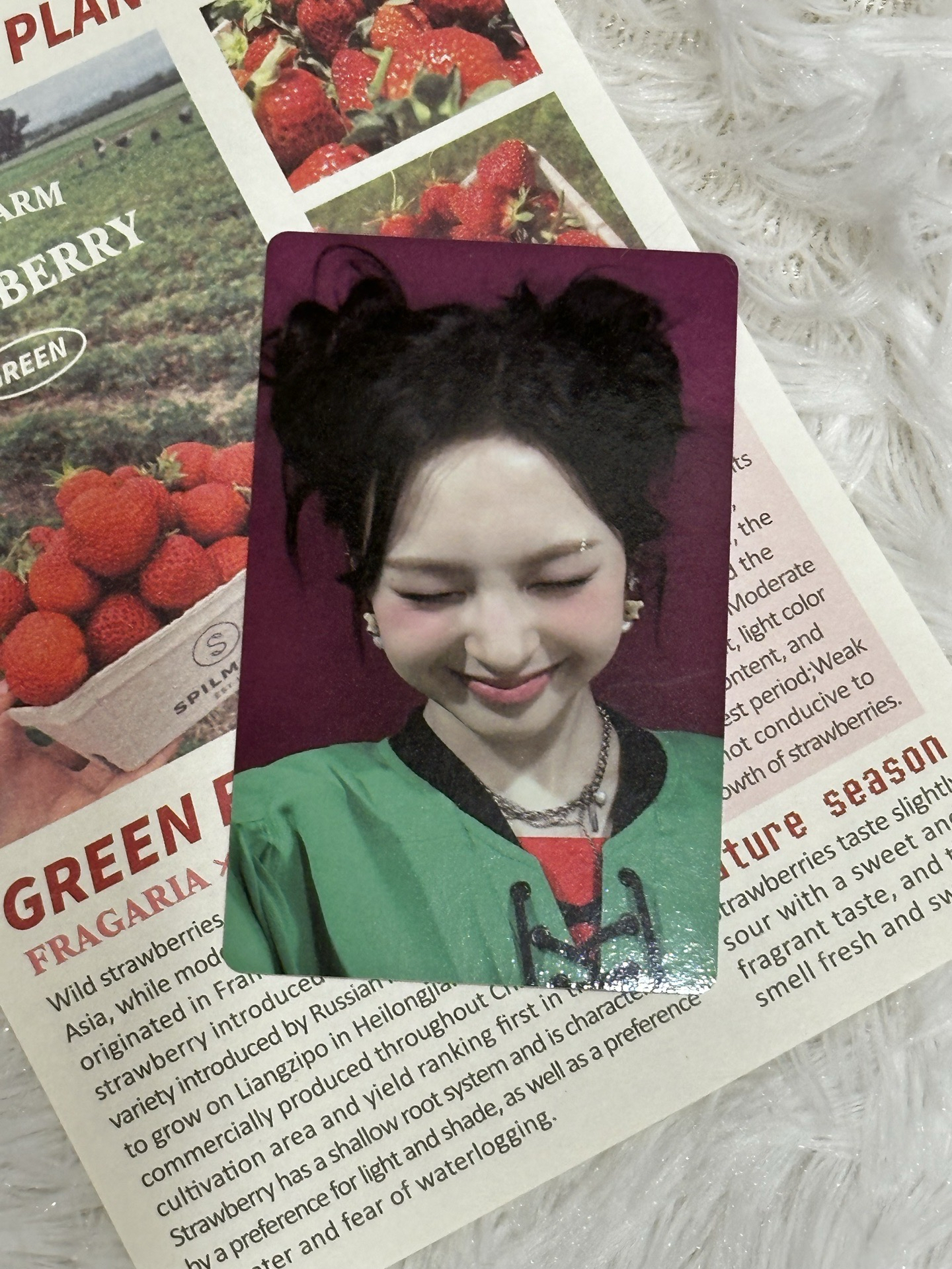 首爾展位卡（微樂客購入）