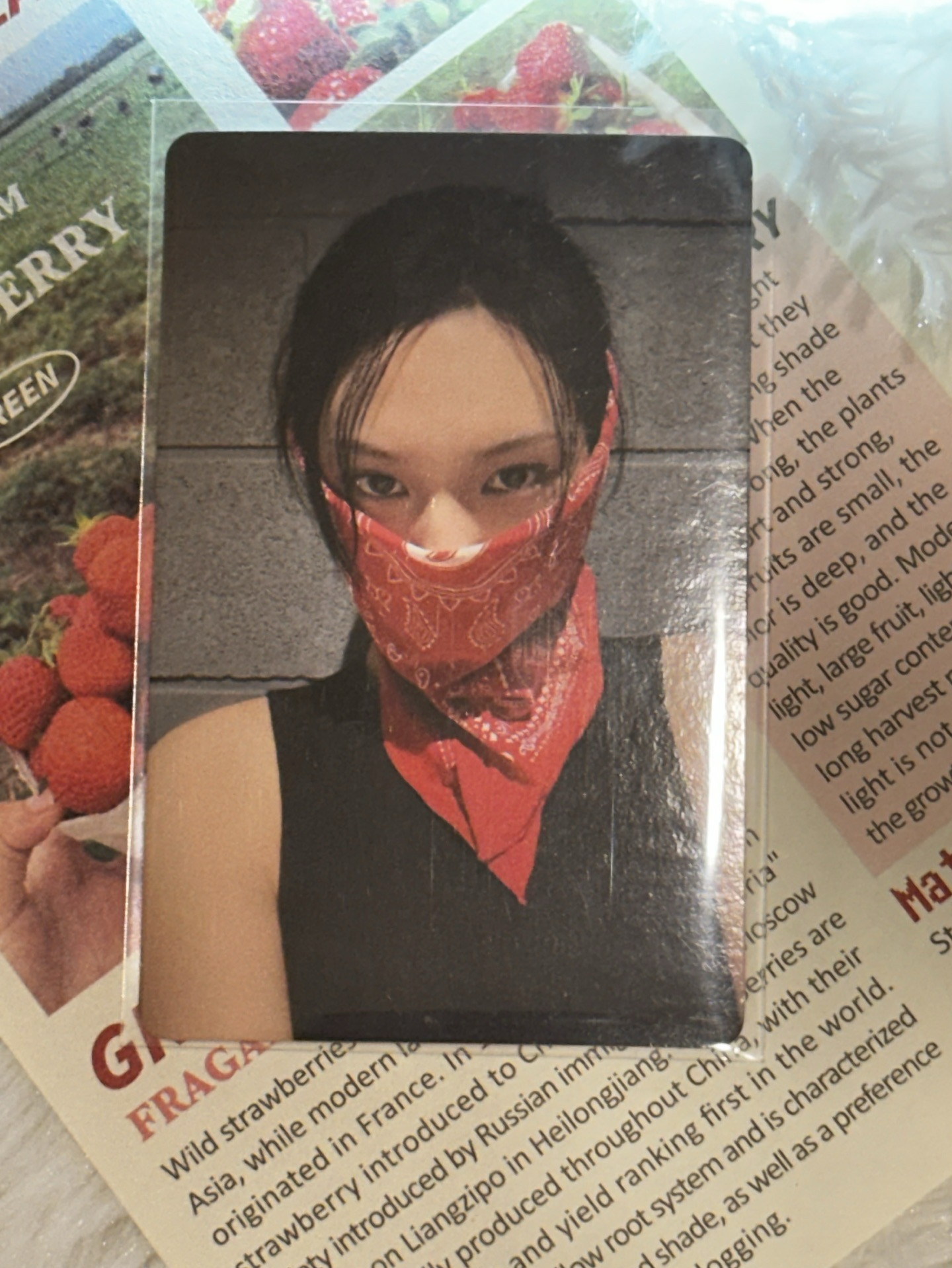 Drip 專輯頭巾卡