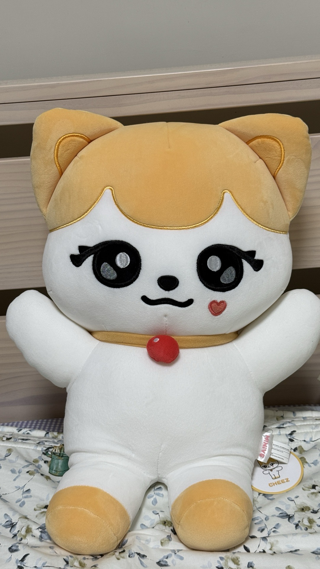 IVE Liz minive初代 50cm大娃 綁小卡