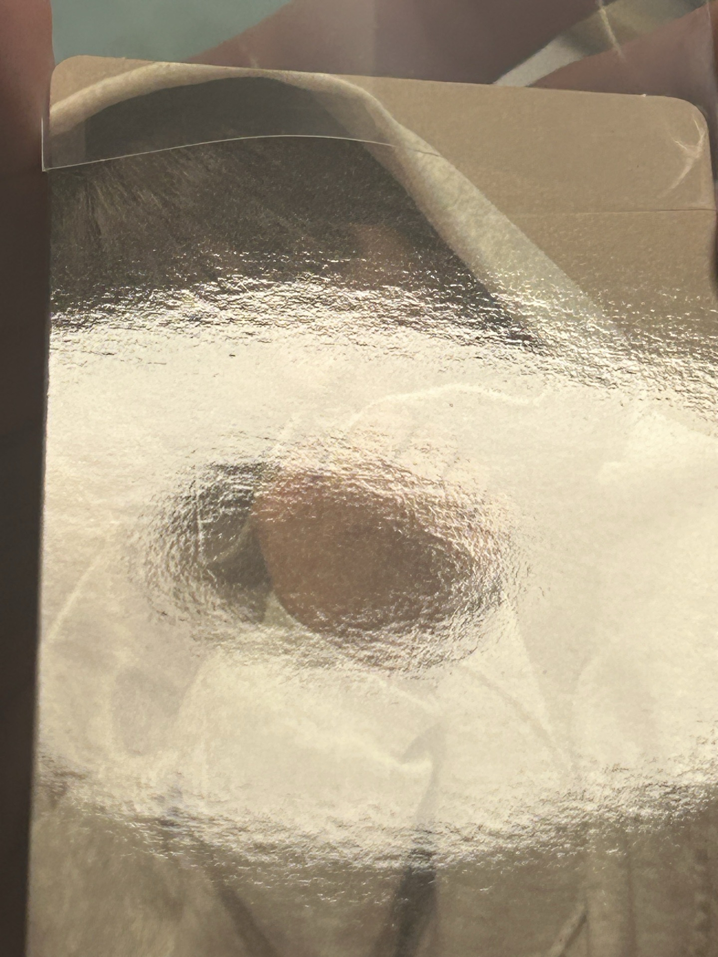 TWS 金道勳 電子專