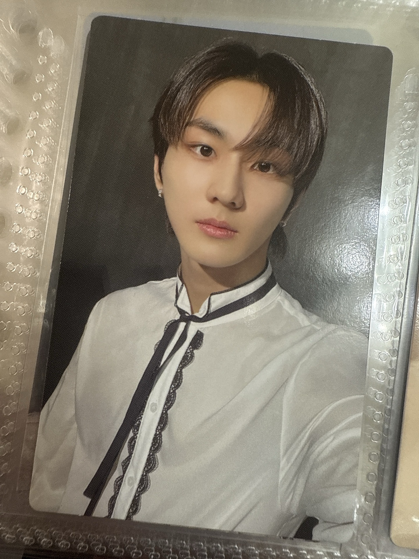 FATE 世巡 禎元盤