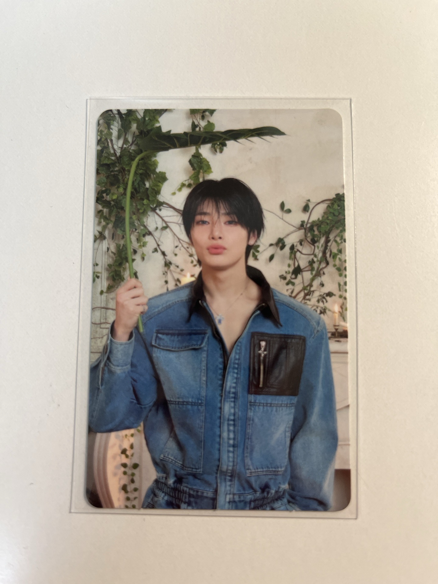 初回限定盤A 寅