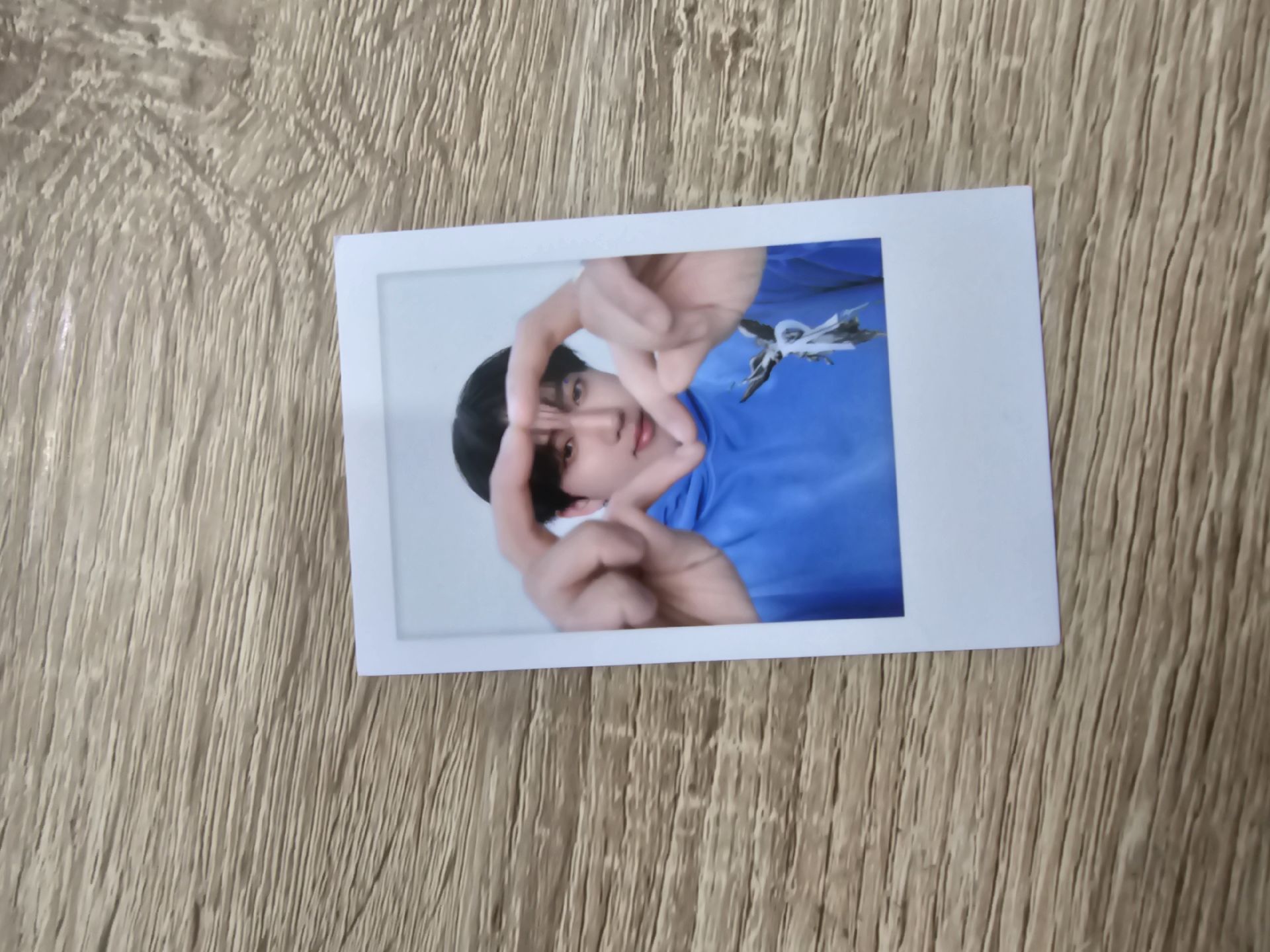 🐖🐇彬 2025飯咪 鐵盒卡