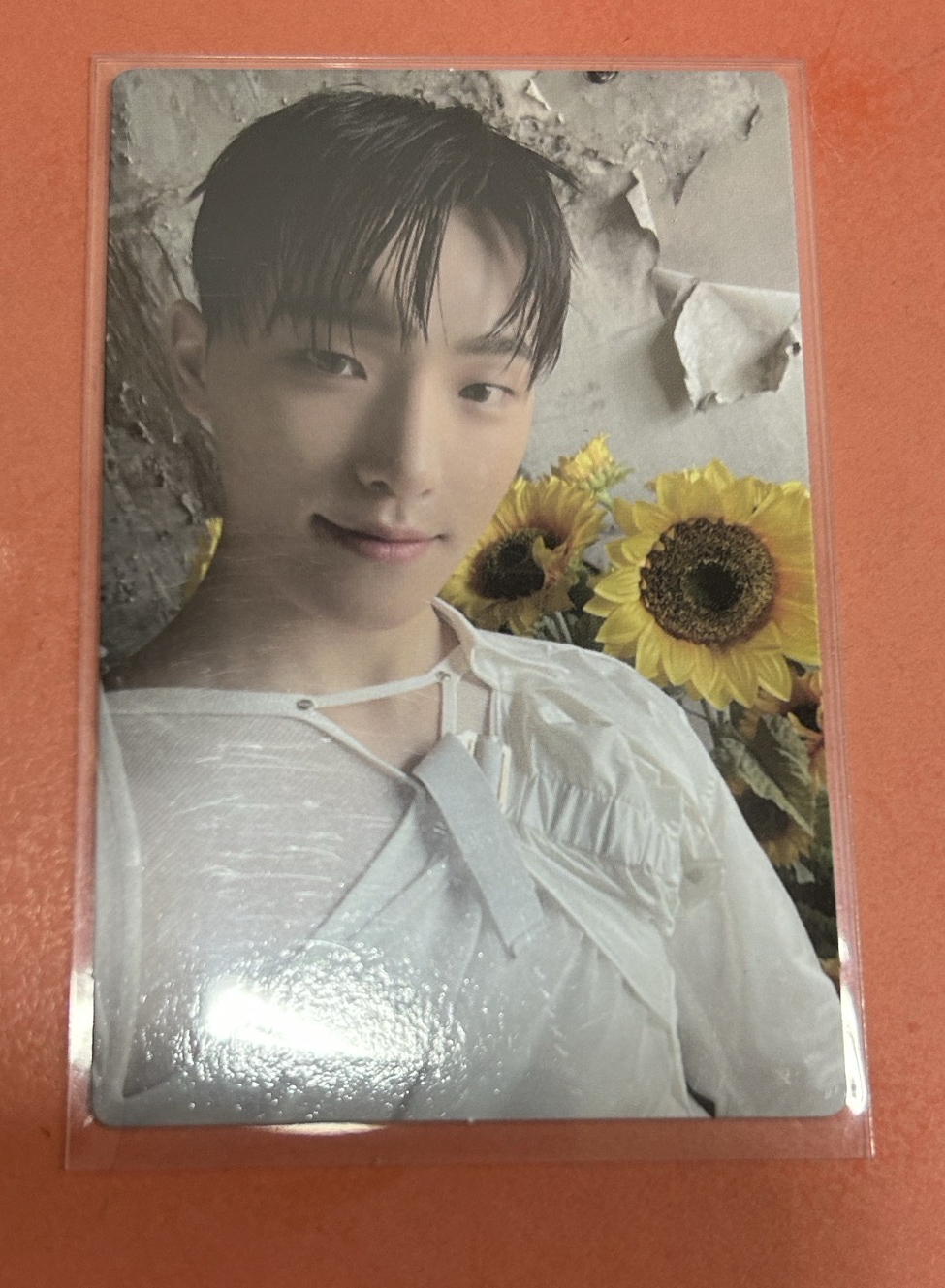 Dino 9期 會員禮卡