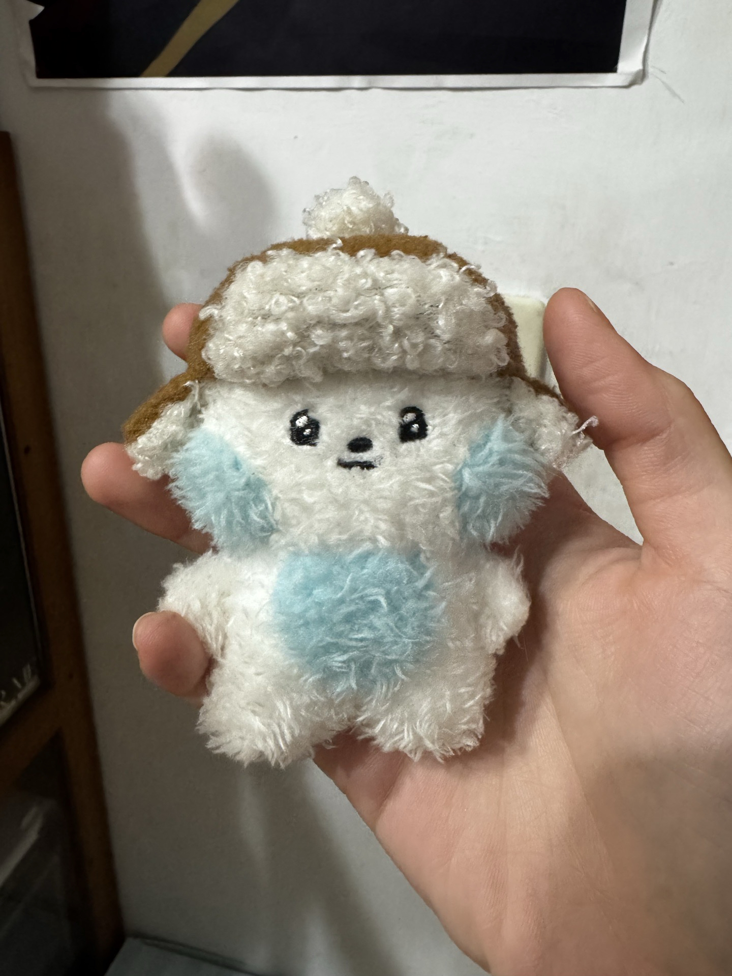 冬季奎尼尼+金地雄中背