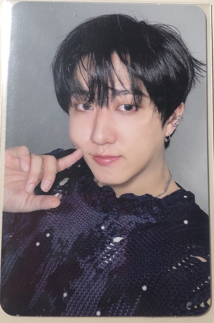 翹一搓尾巴的小豬包