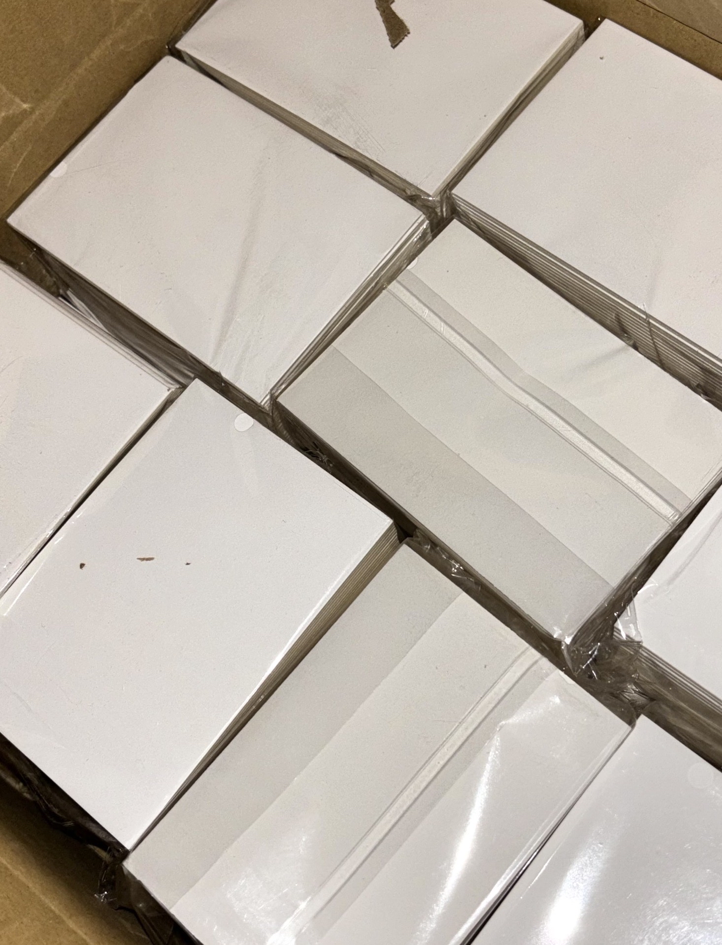 白色硬紙板（10張）