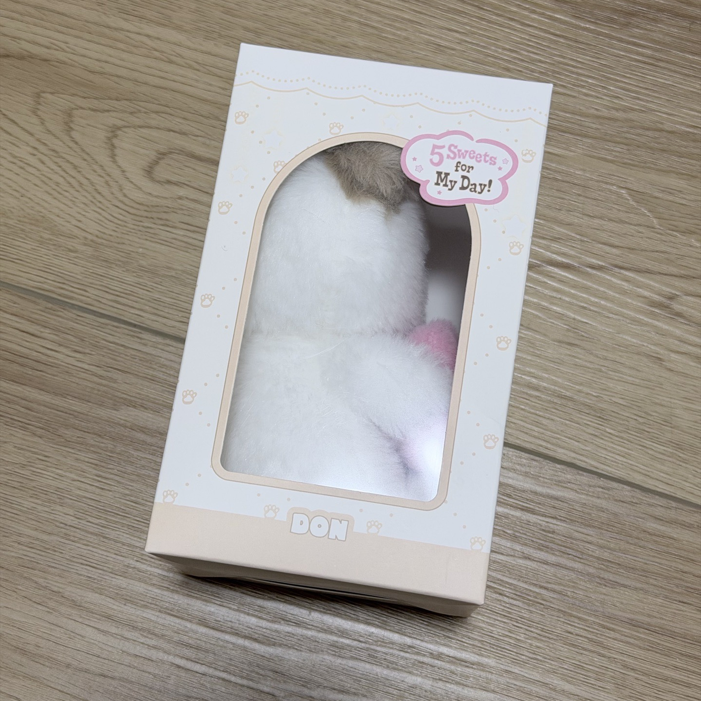 Day6 Don 度雲 語音娃 十週年演唱會 THE DECADE