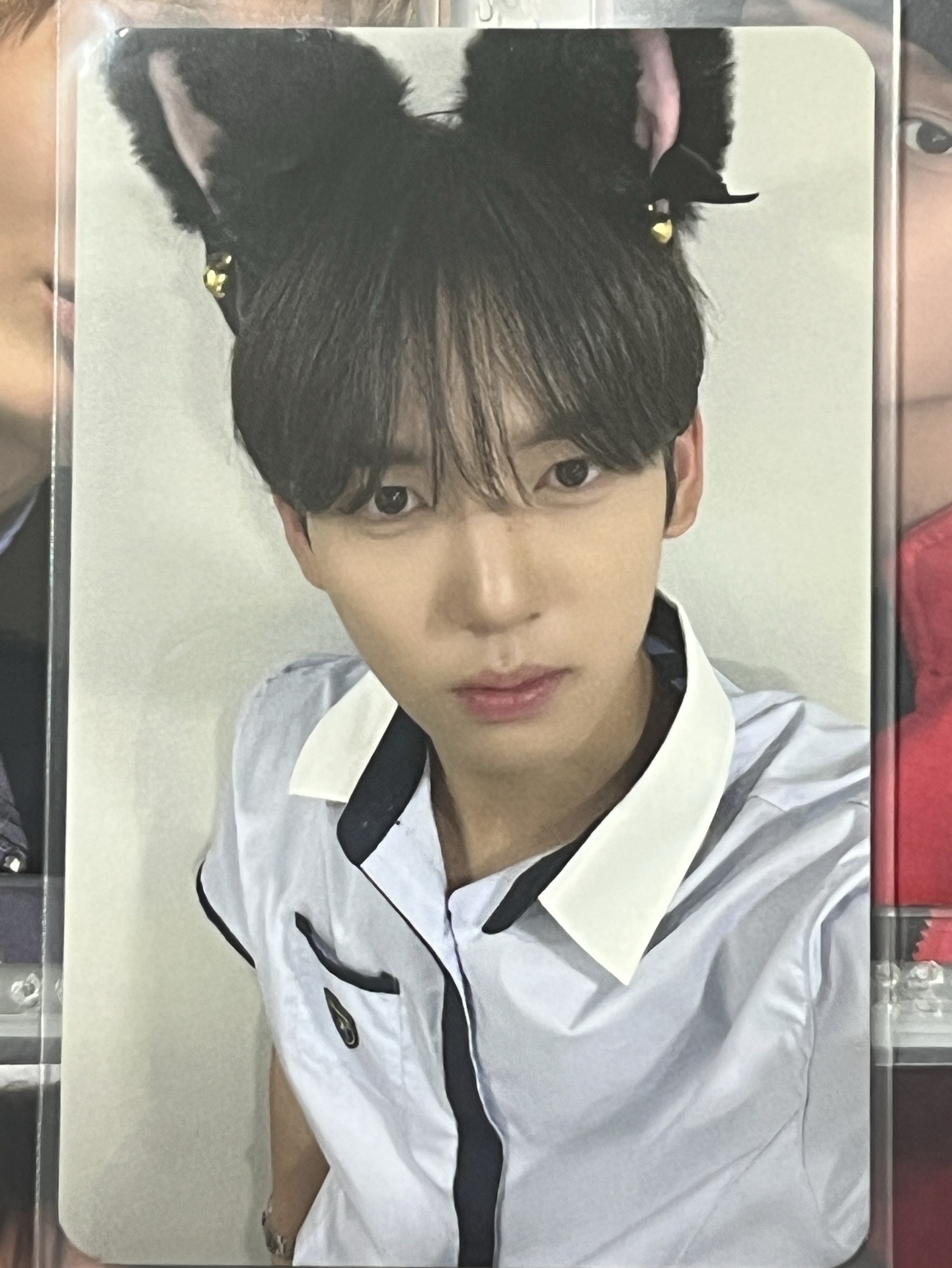 迷一 貓耳特典 韓維辰