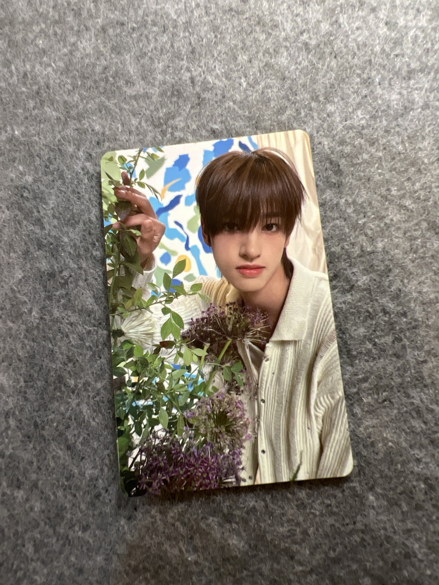 ⚪️NEXZ Seita rtv通常盤專卡