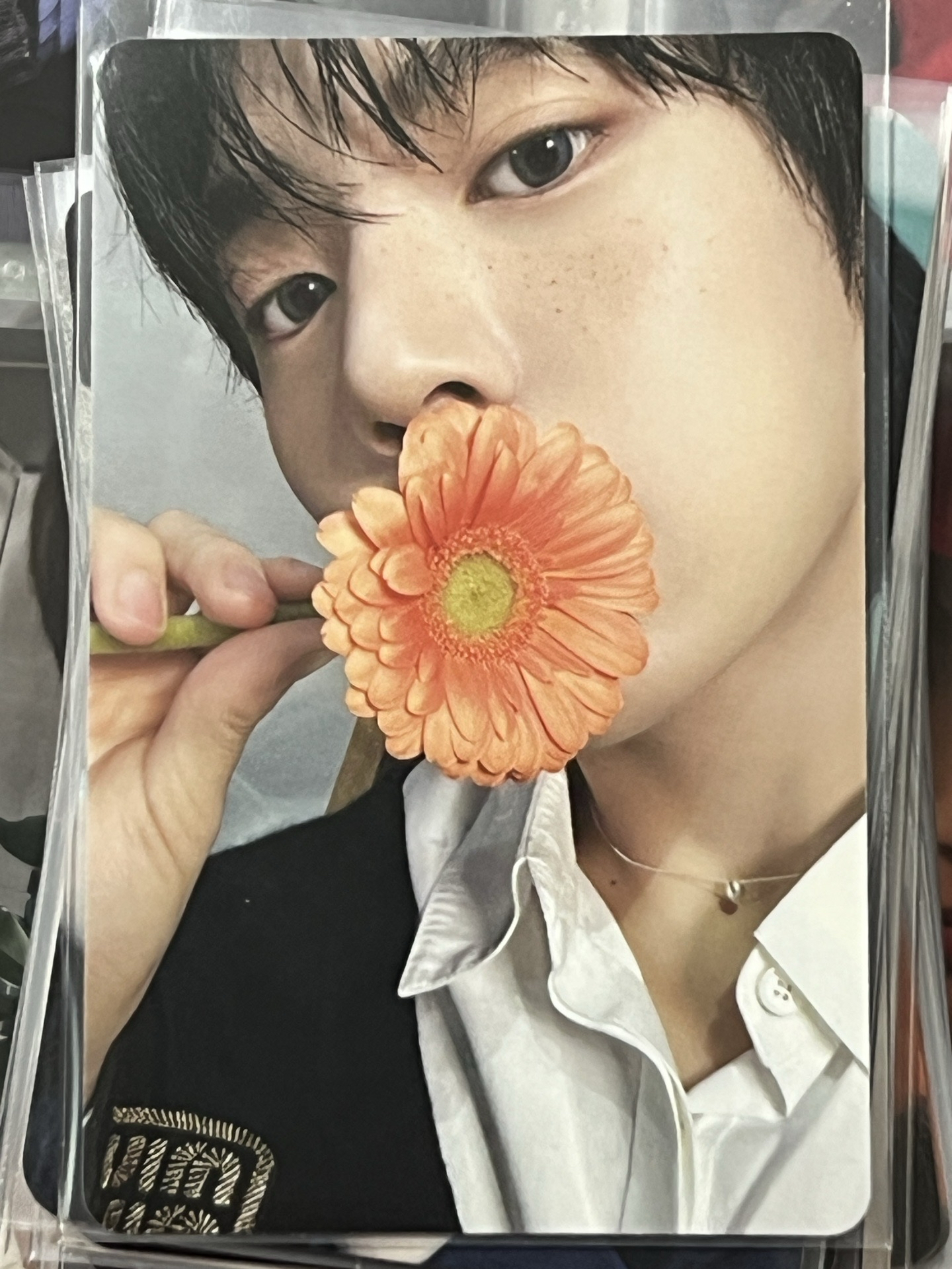 迷三專卡 韓維辰