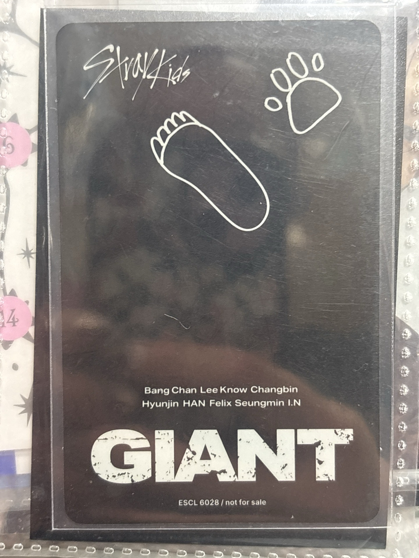 GIANT 通常盤專卡旻
