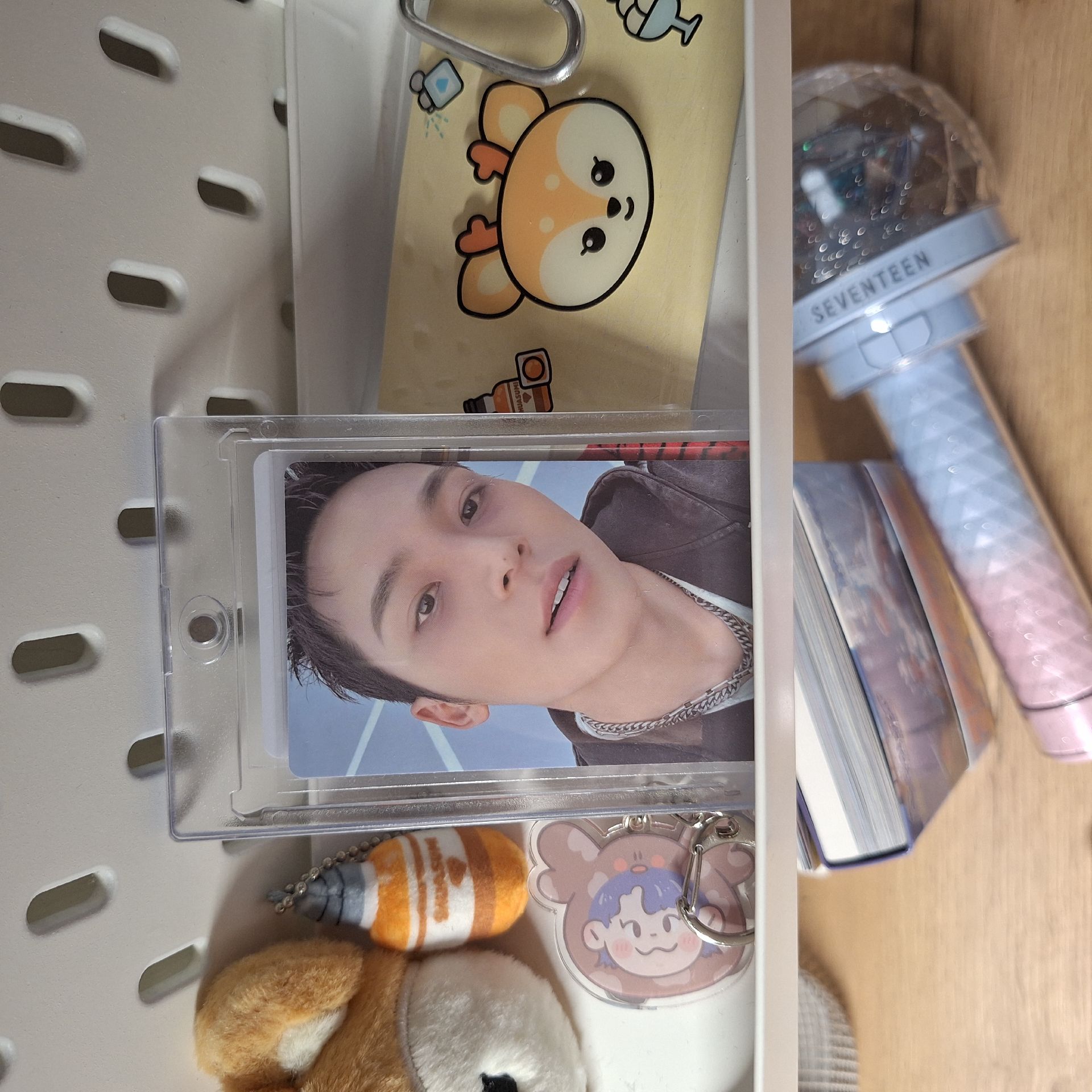 ★正規五｜wvs｜奎