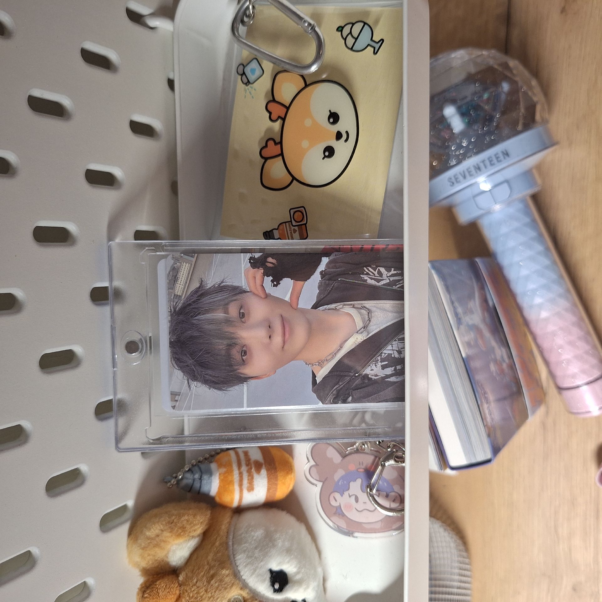 ★正規五｜wvs｜寛