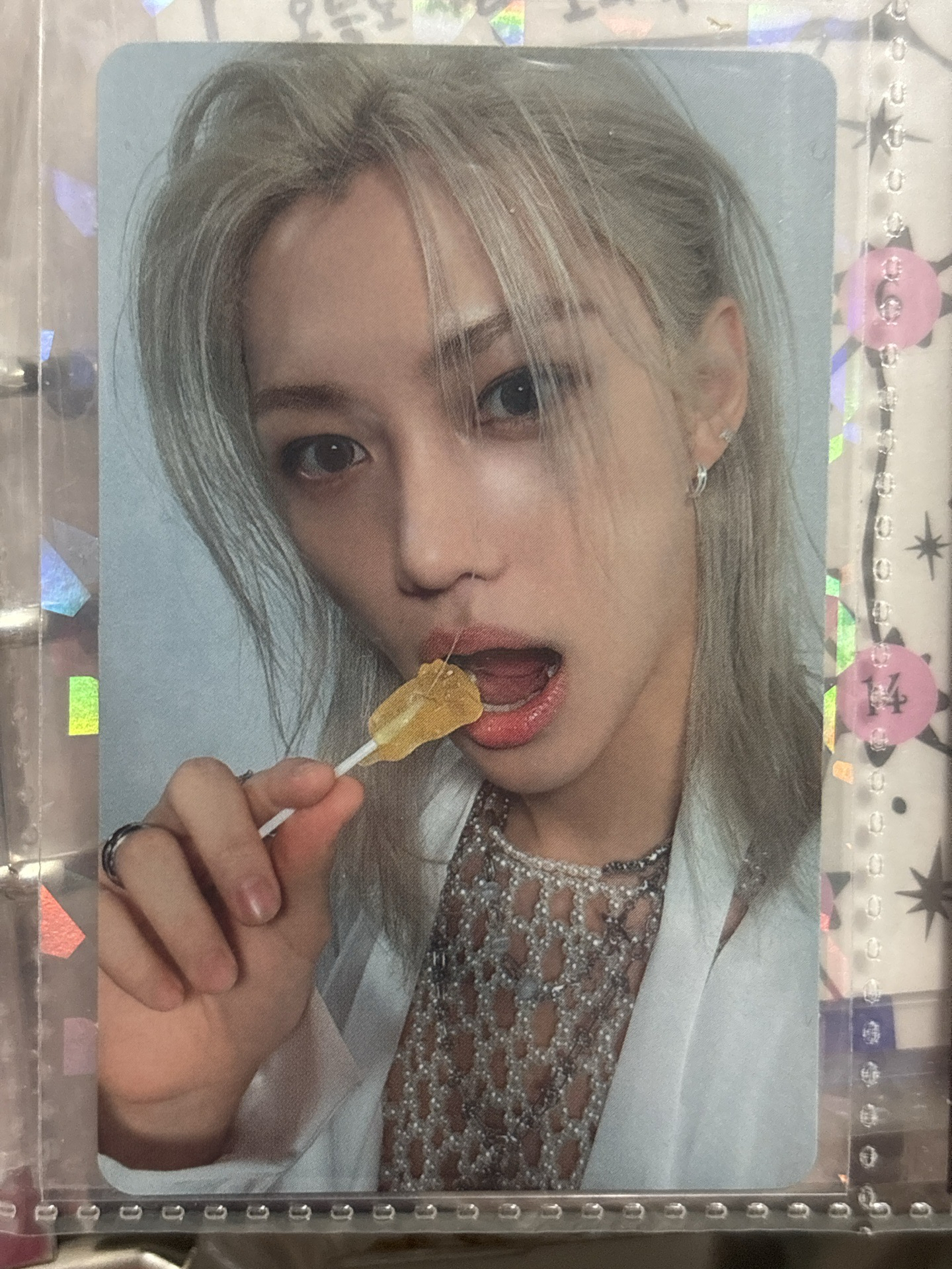 GIANT 通常盤專卡 菲