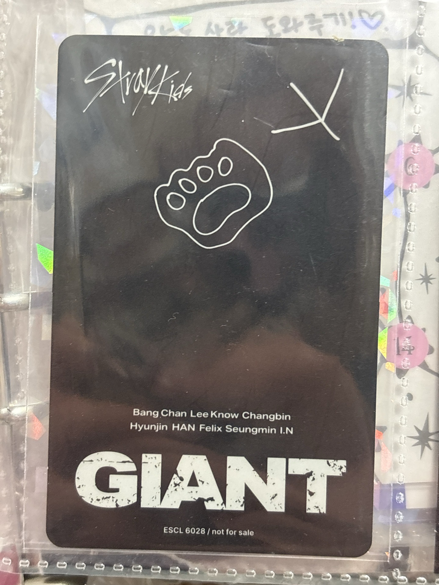 GIANT 通常盤專卡 菲