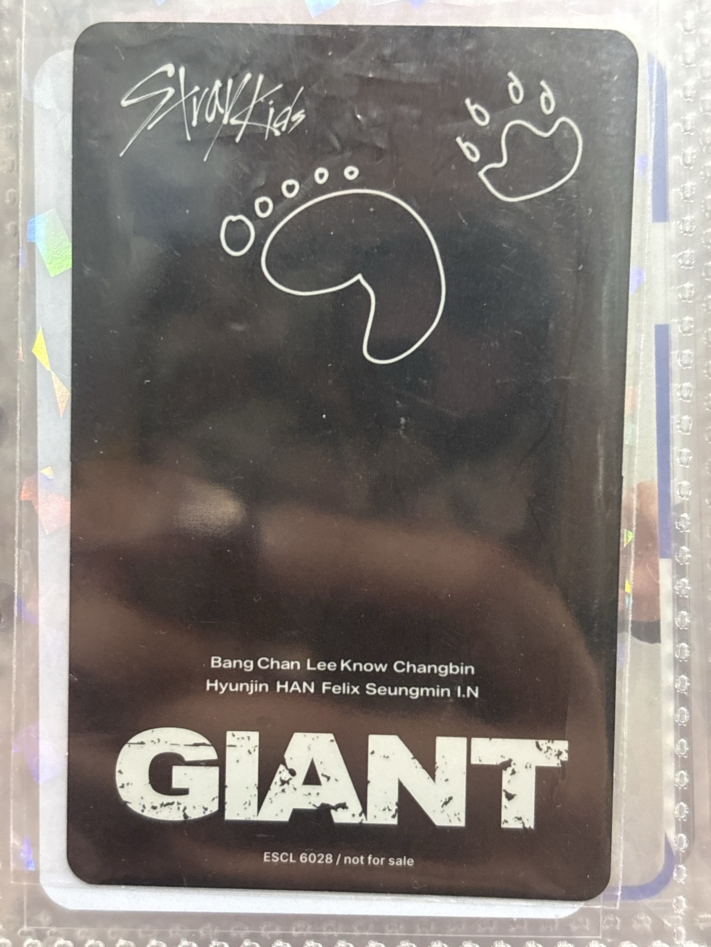 GIANT 通常盤專卡 燦