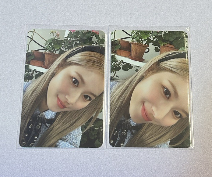 紗green project固配卡