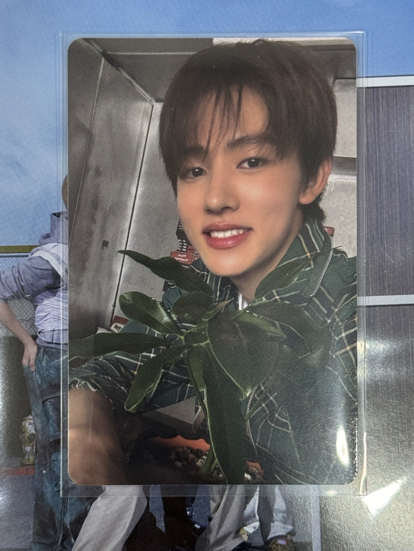 cortis玹 年曆卡/wvs特典