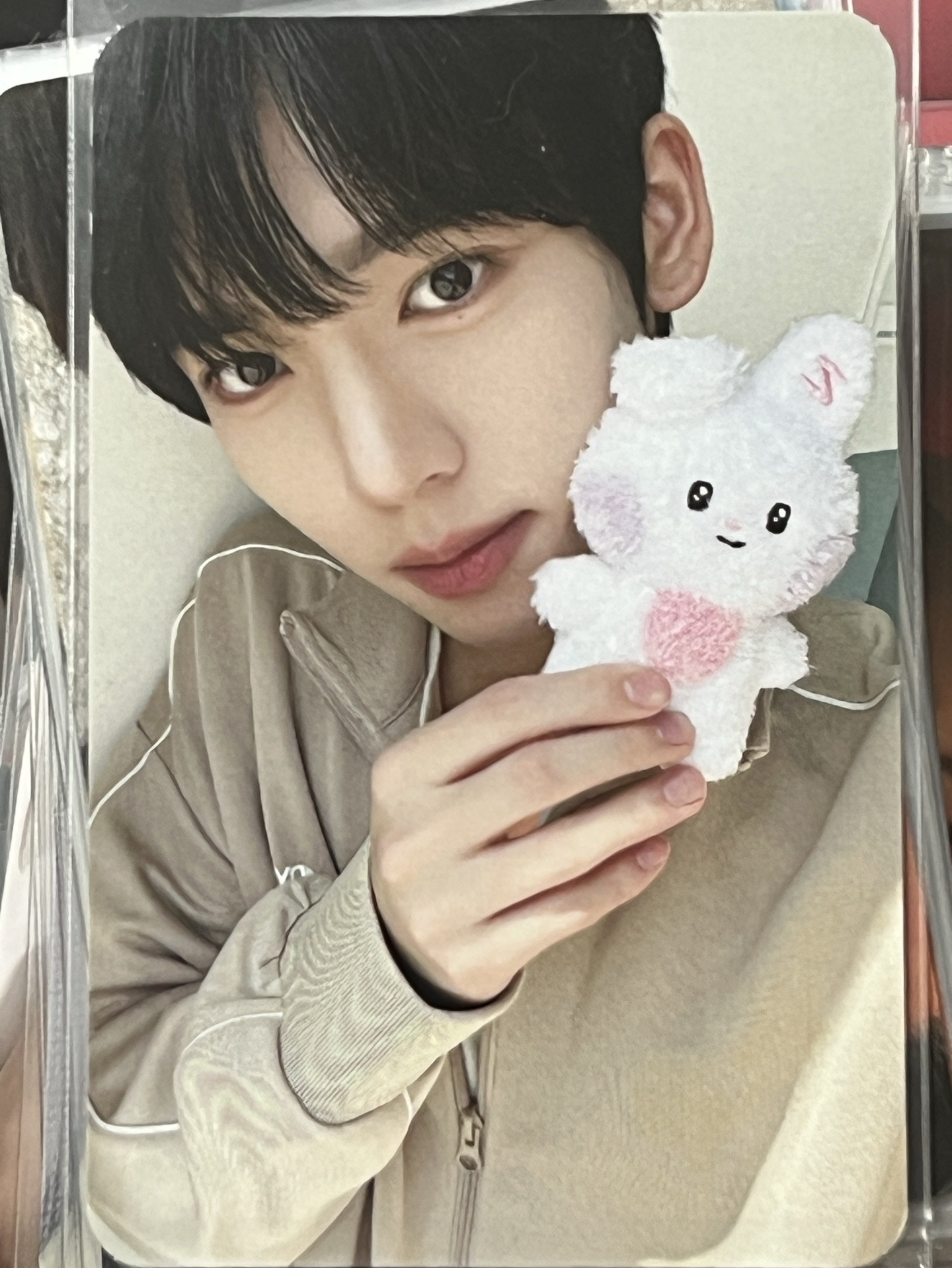 zeroni 周邊卡 韓維辰