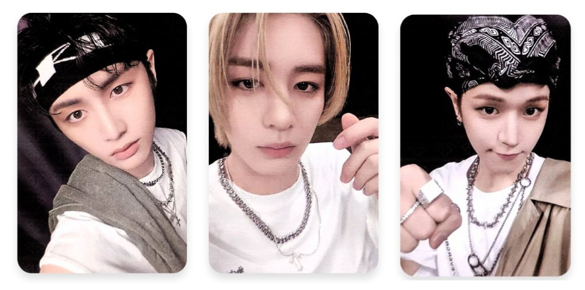 19.99 WVS PB ver. 直播卡 245