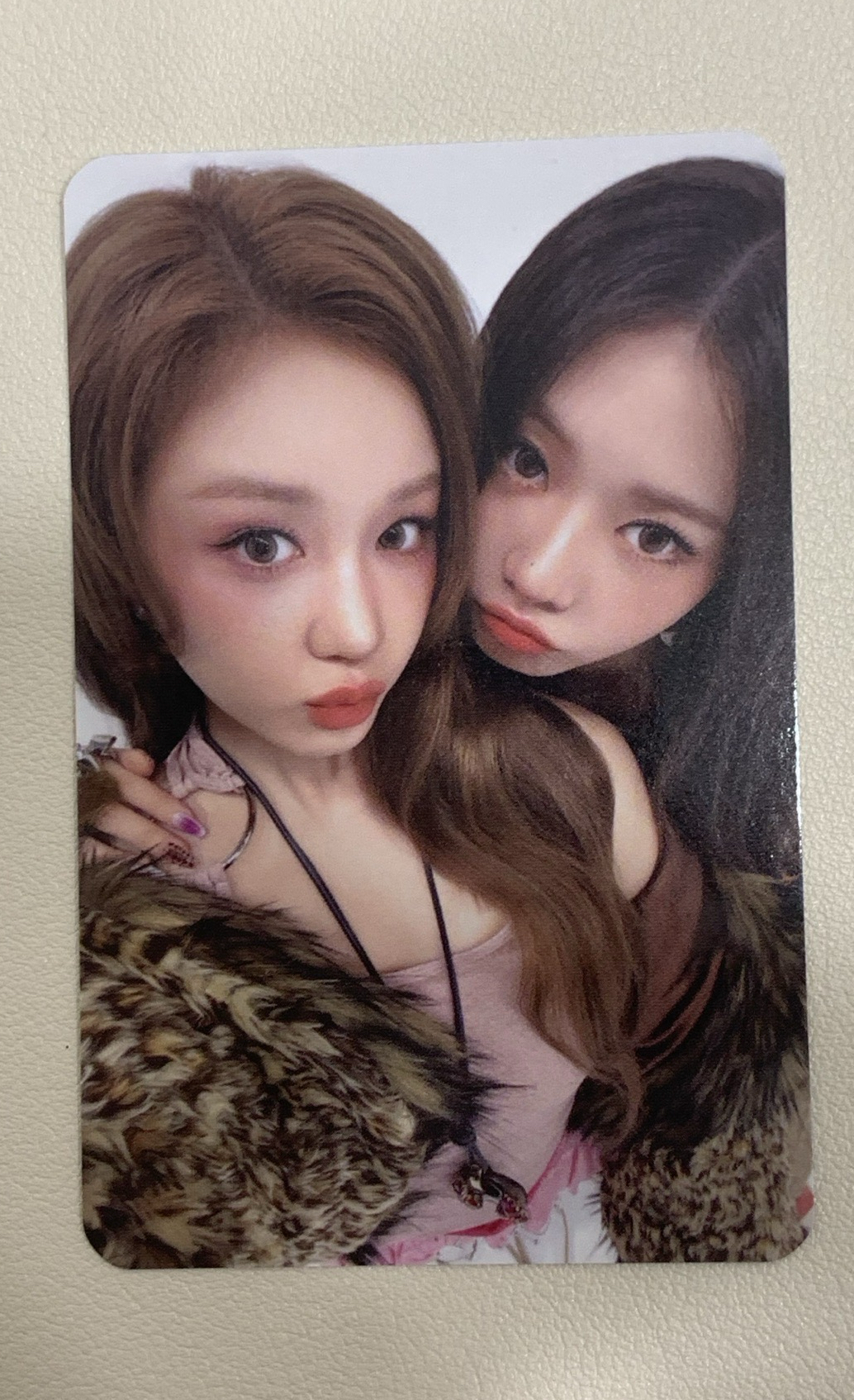 MS塔茶雙人不需多帶現貨