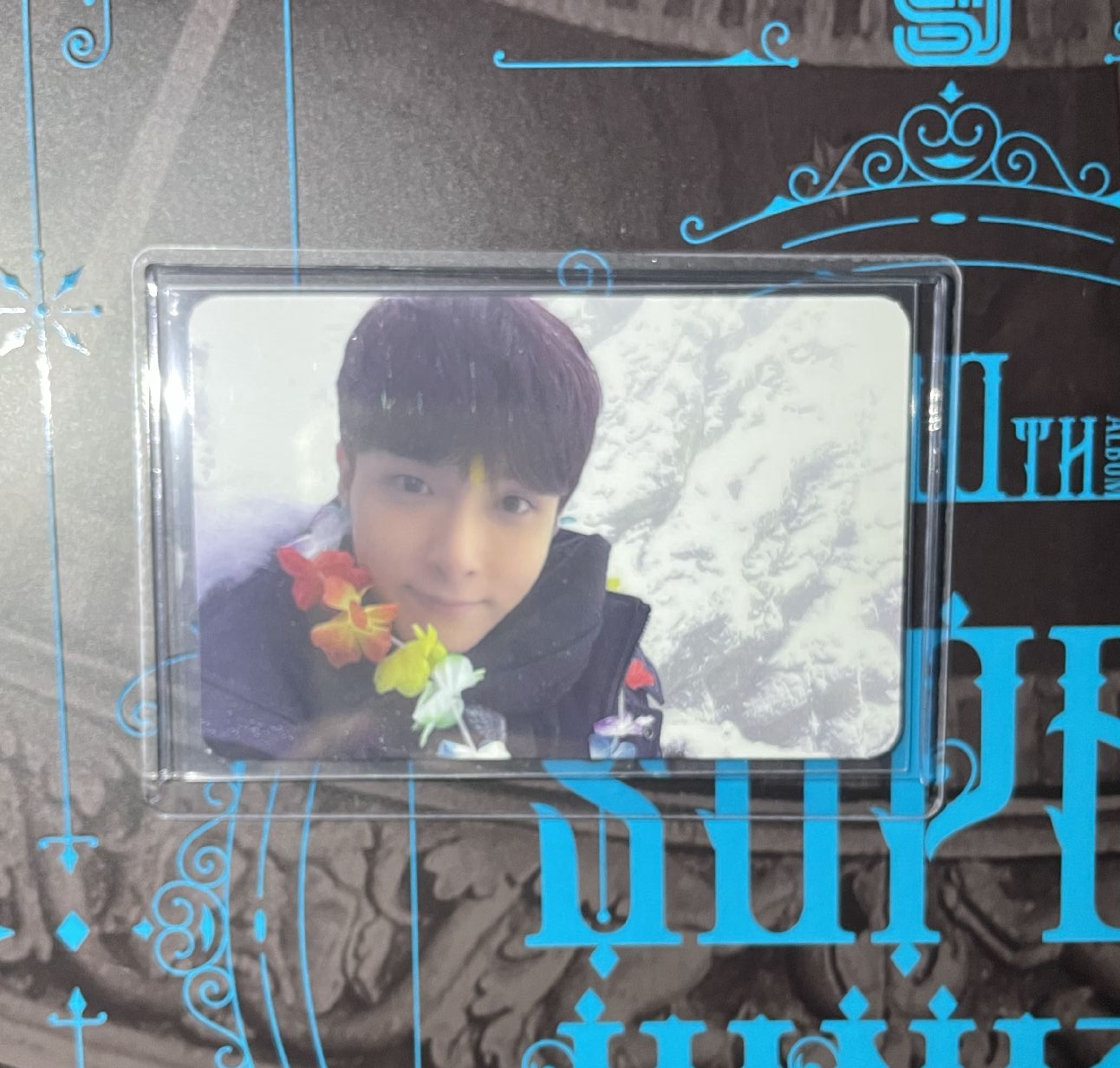 厲旭solo迷1 小王子專卡