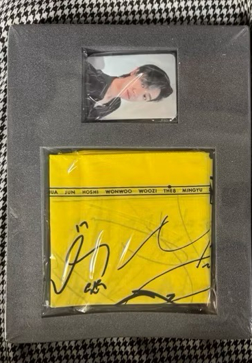 【全新未拆 含卡、絲巾】seventeen 21年 絕版 DICON 明浩 the8 雜誌 抱熊 D社 小卡