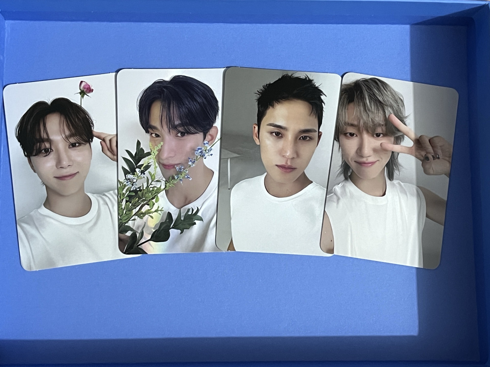 seventeen 精選專 小卡 （DK、珉奎、勝寬、The8）