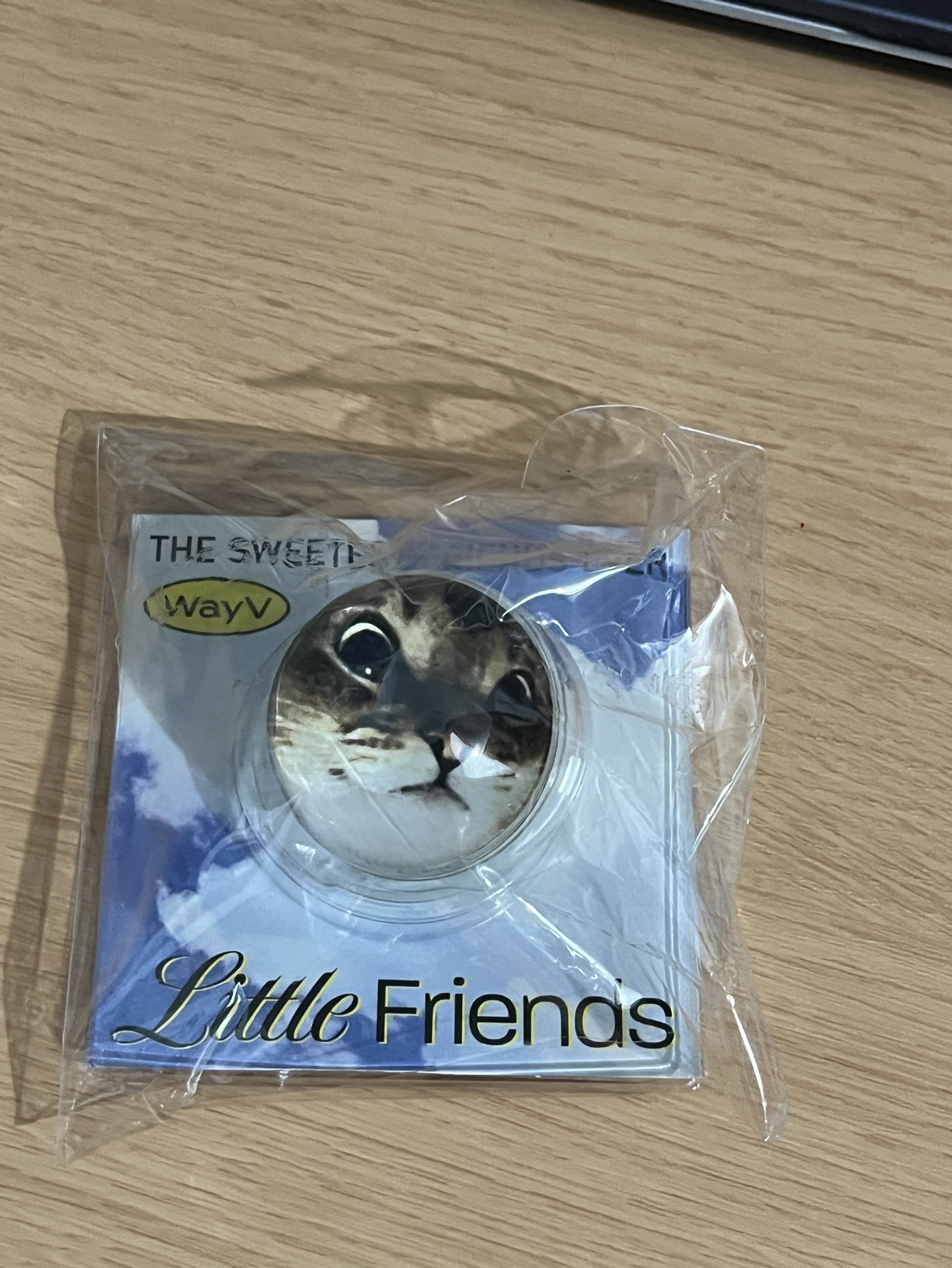 Wayv 4週年 leon手機支架