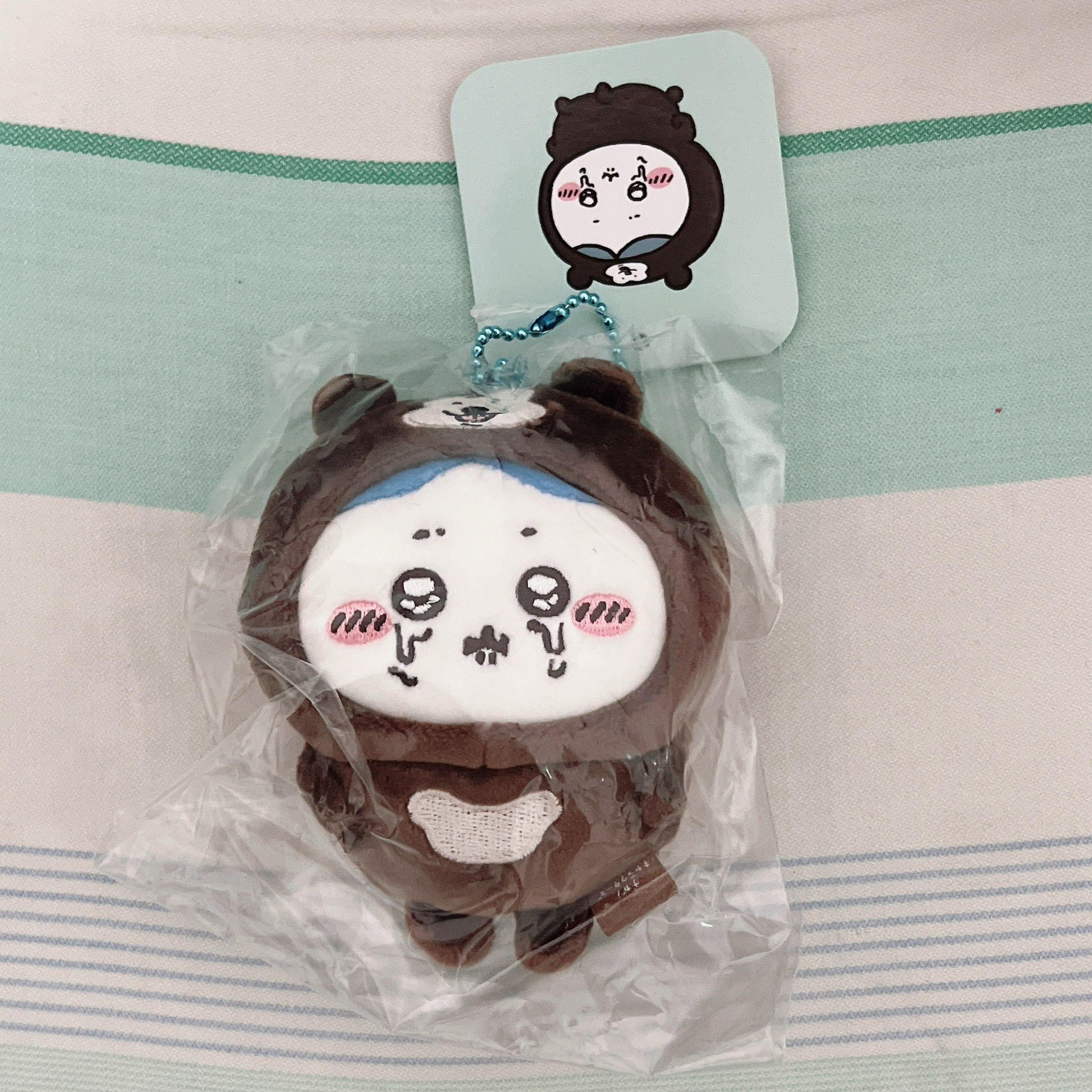 *哭哭馬來熊小八