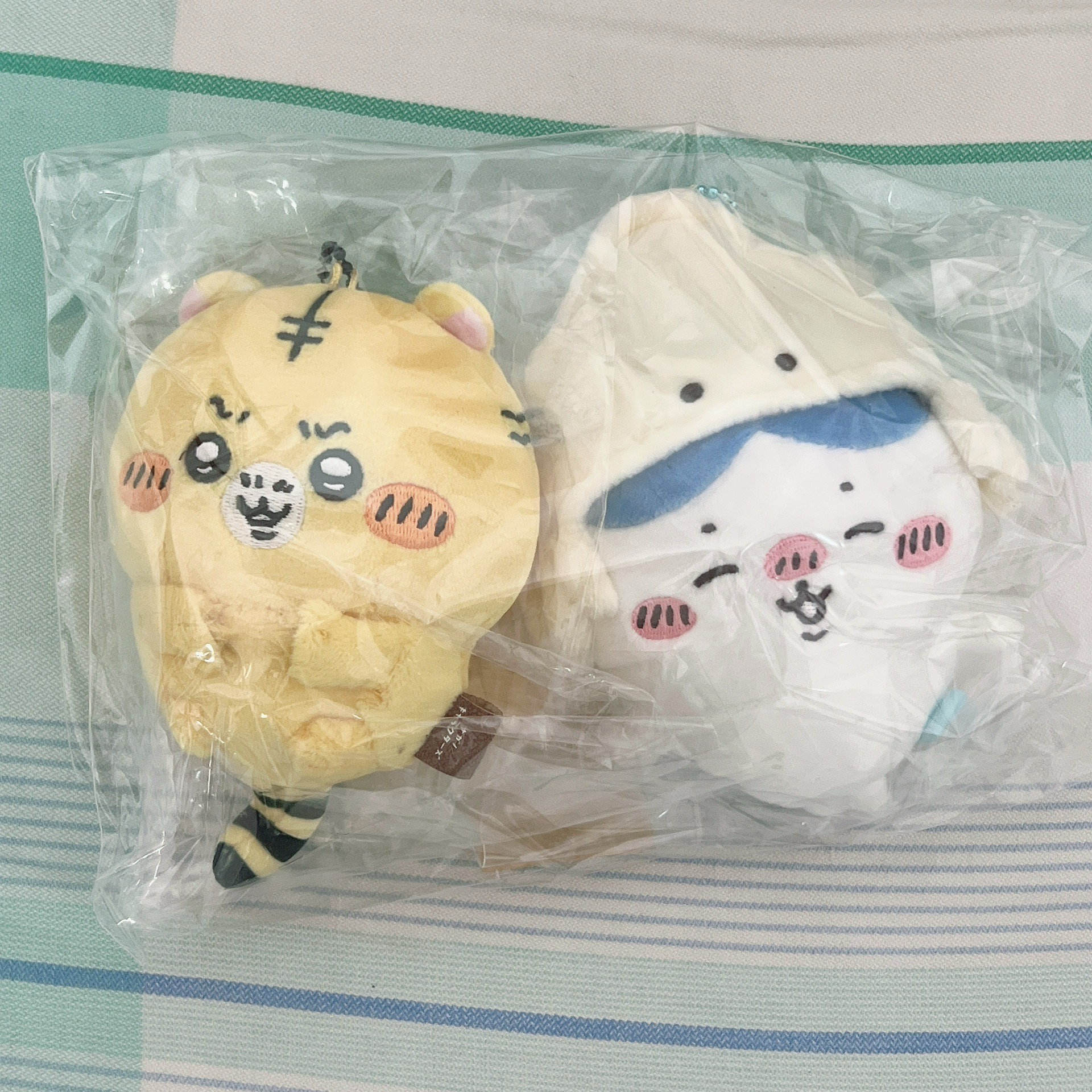 小老虎（圖左）