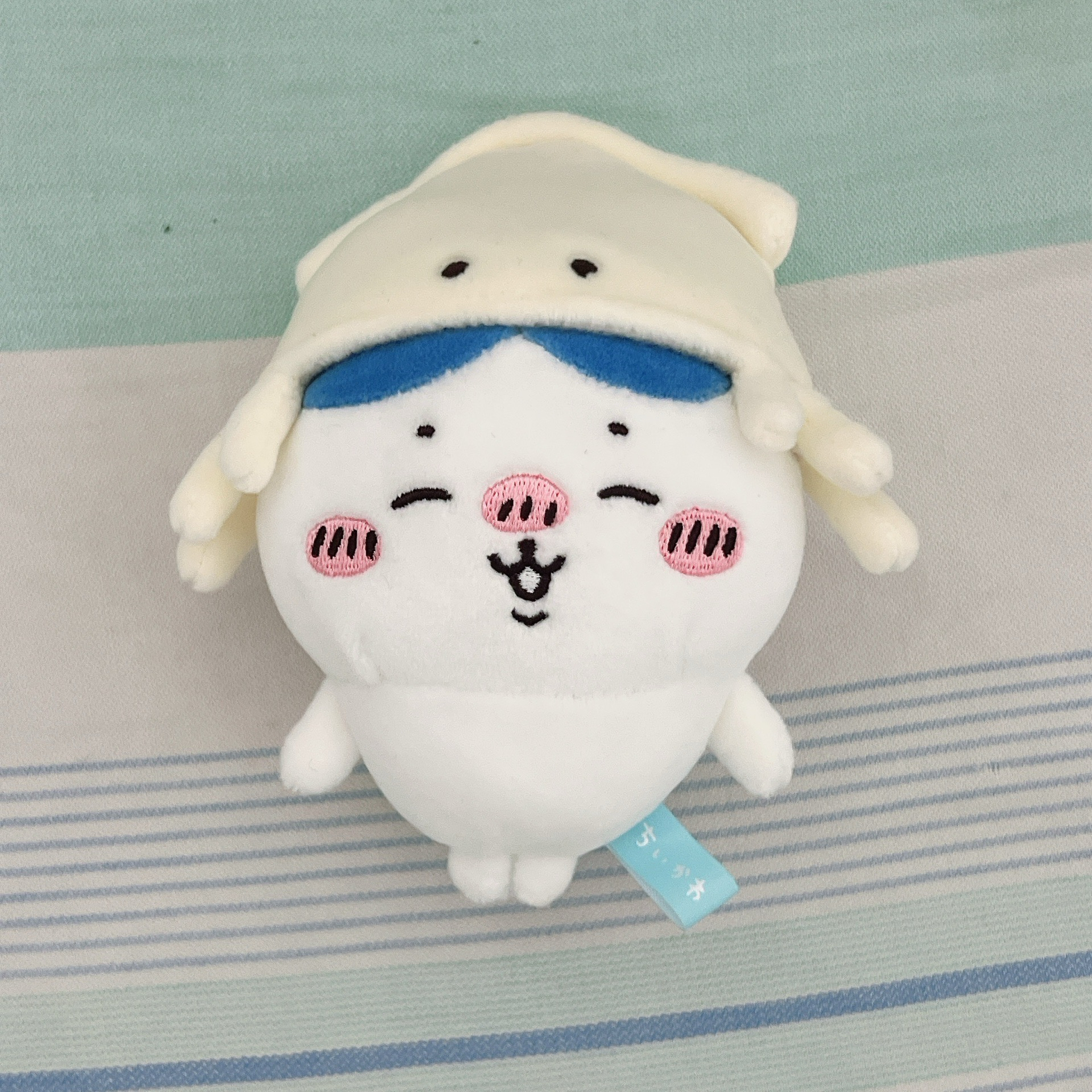 無袋無牌魷魚小八