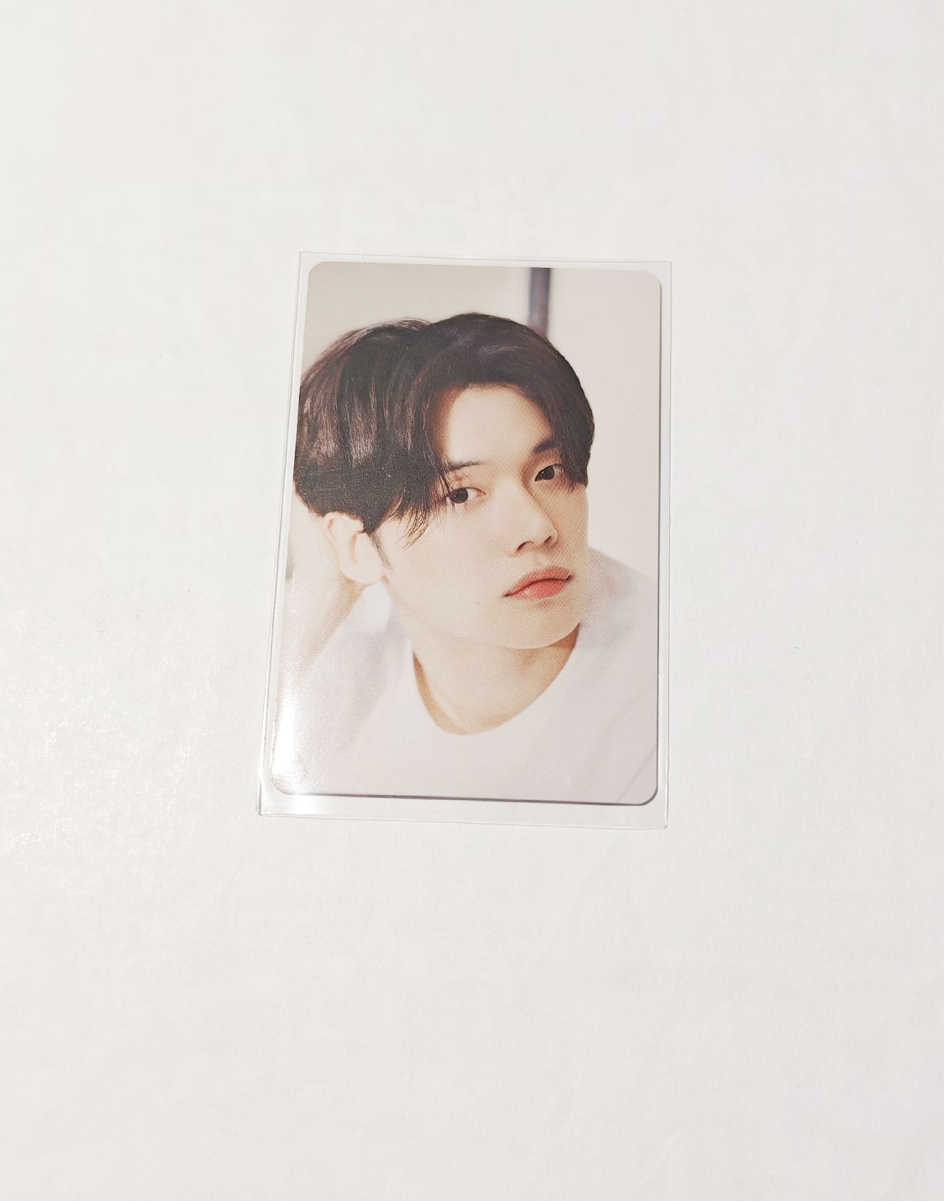 summer together 竣卡