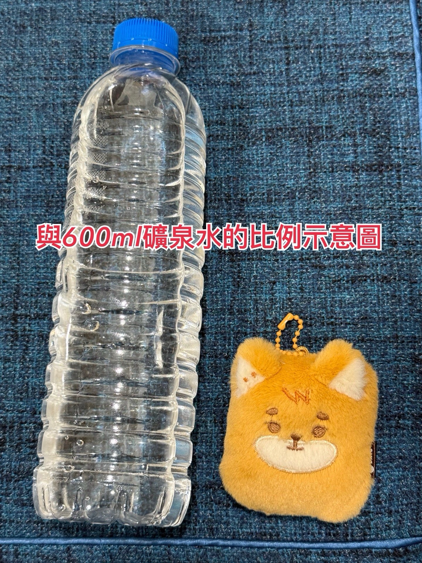 DAY6 DENIMALZ 方塊 證件照 吊飾 2024 The Present