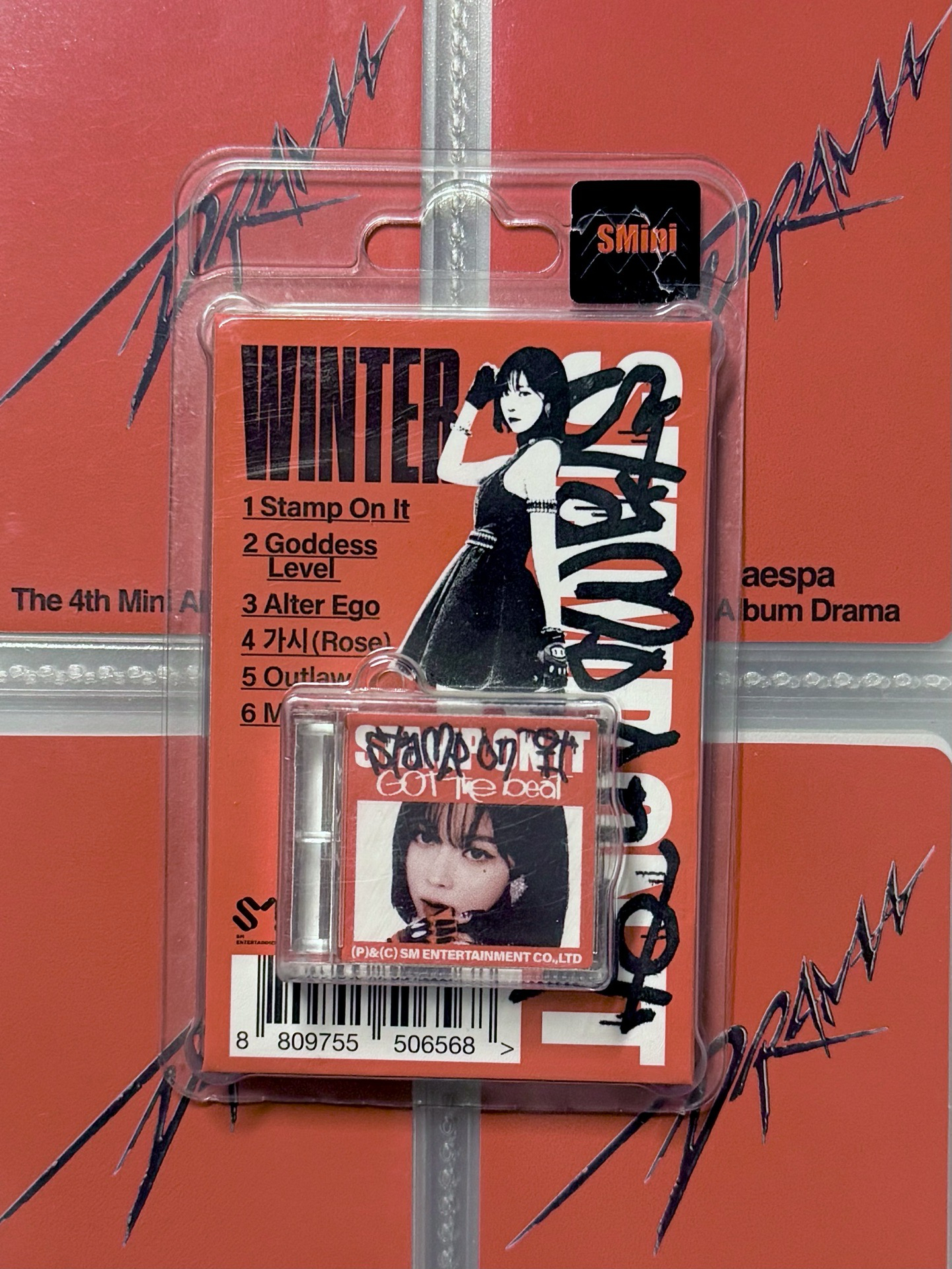 WINTER GOT SMINI空專