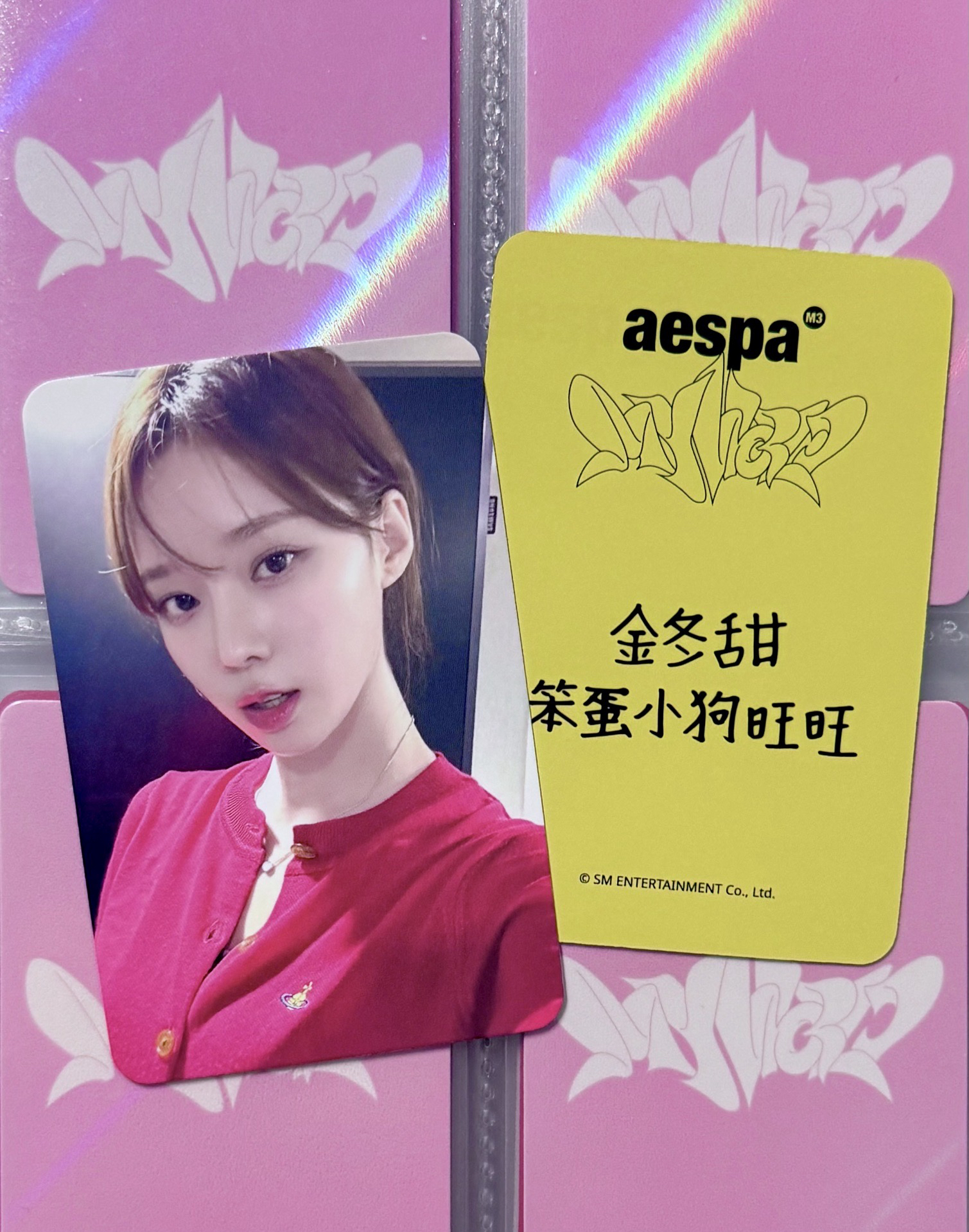 WINT SR2.0簽售卡 中文卡背