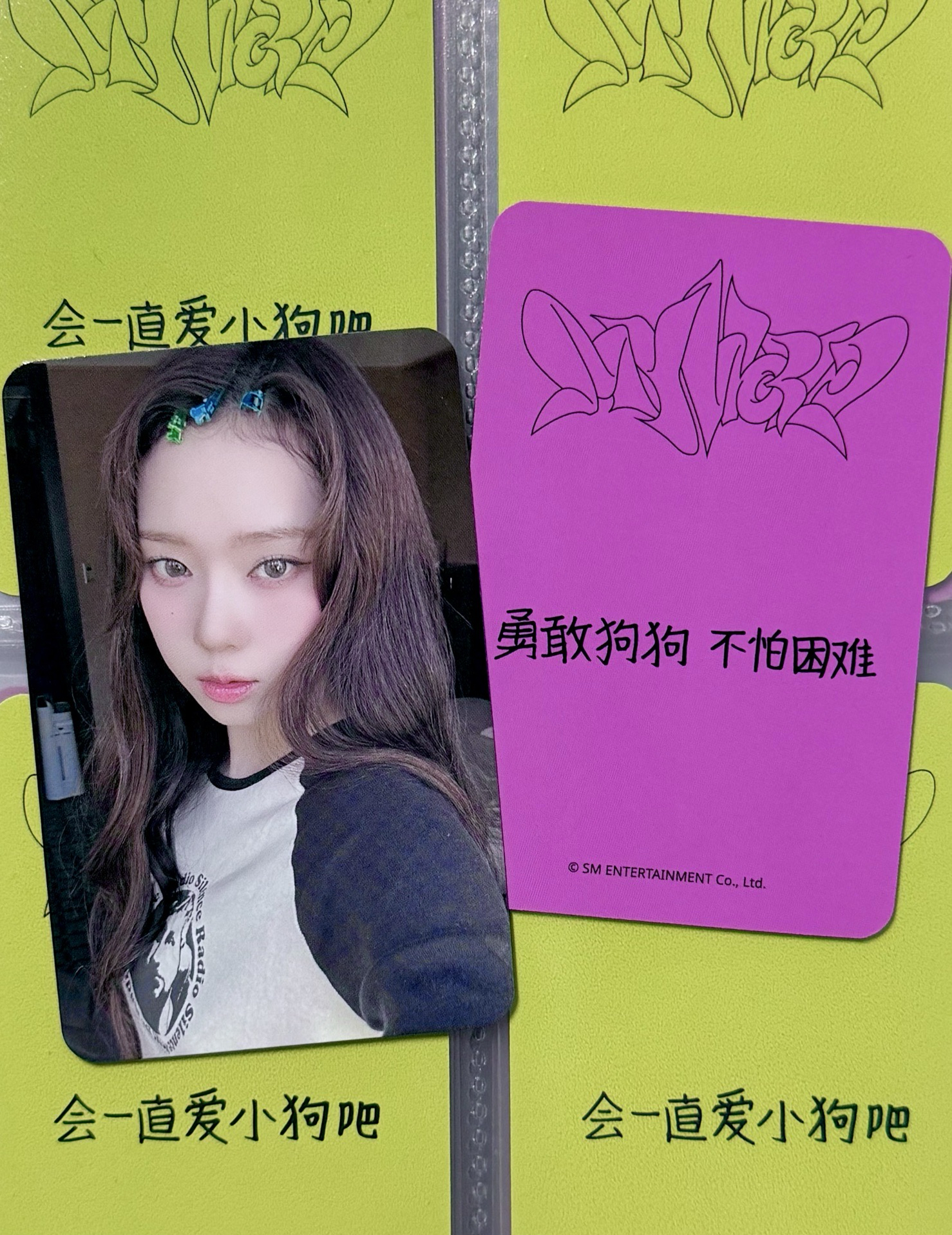 WINTER SR預售特典卡 髮夾冬 中文卡背