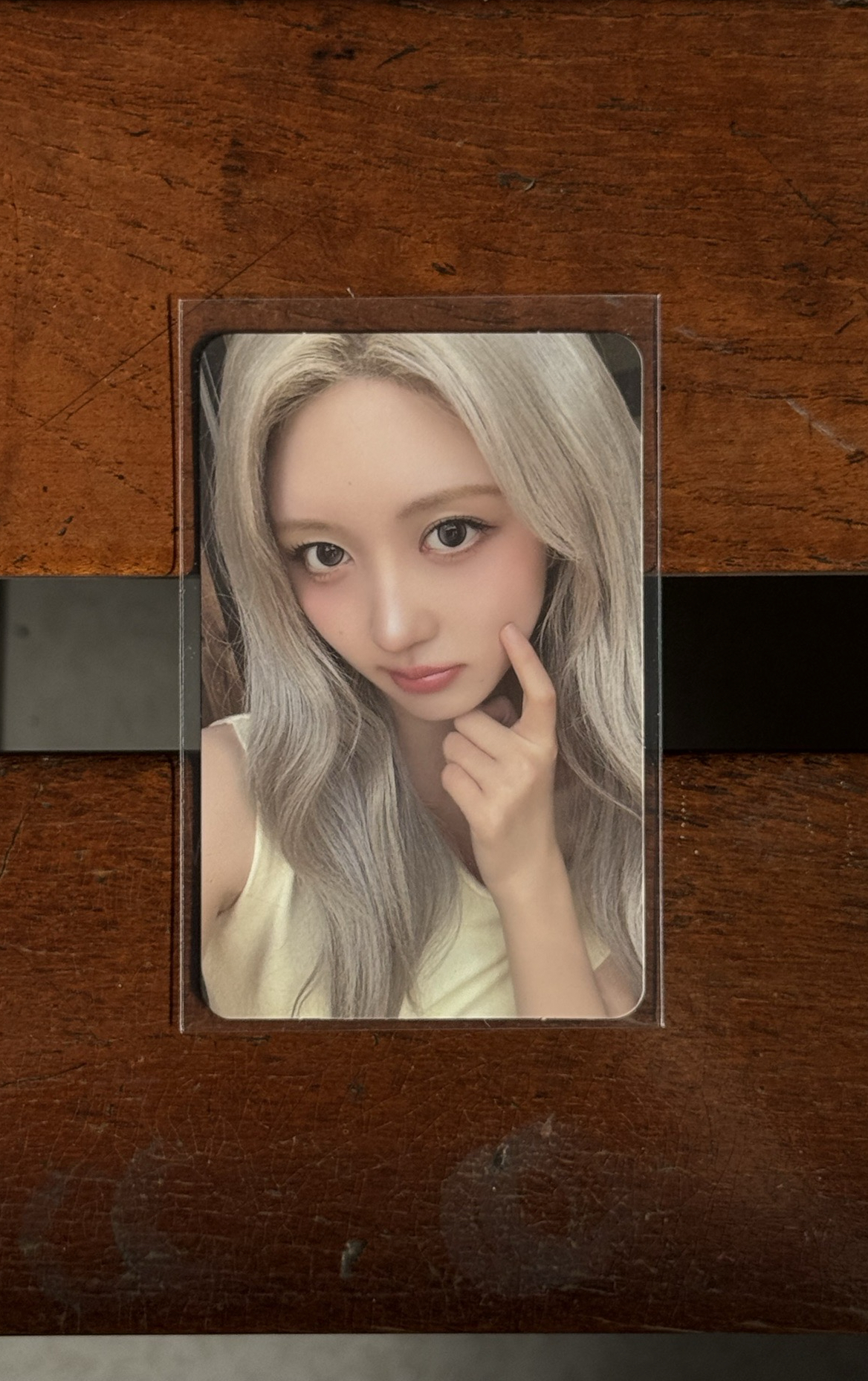 二巡隨機卡 秋天