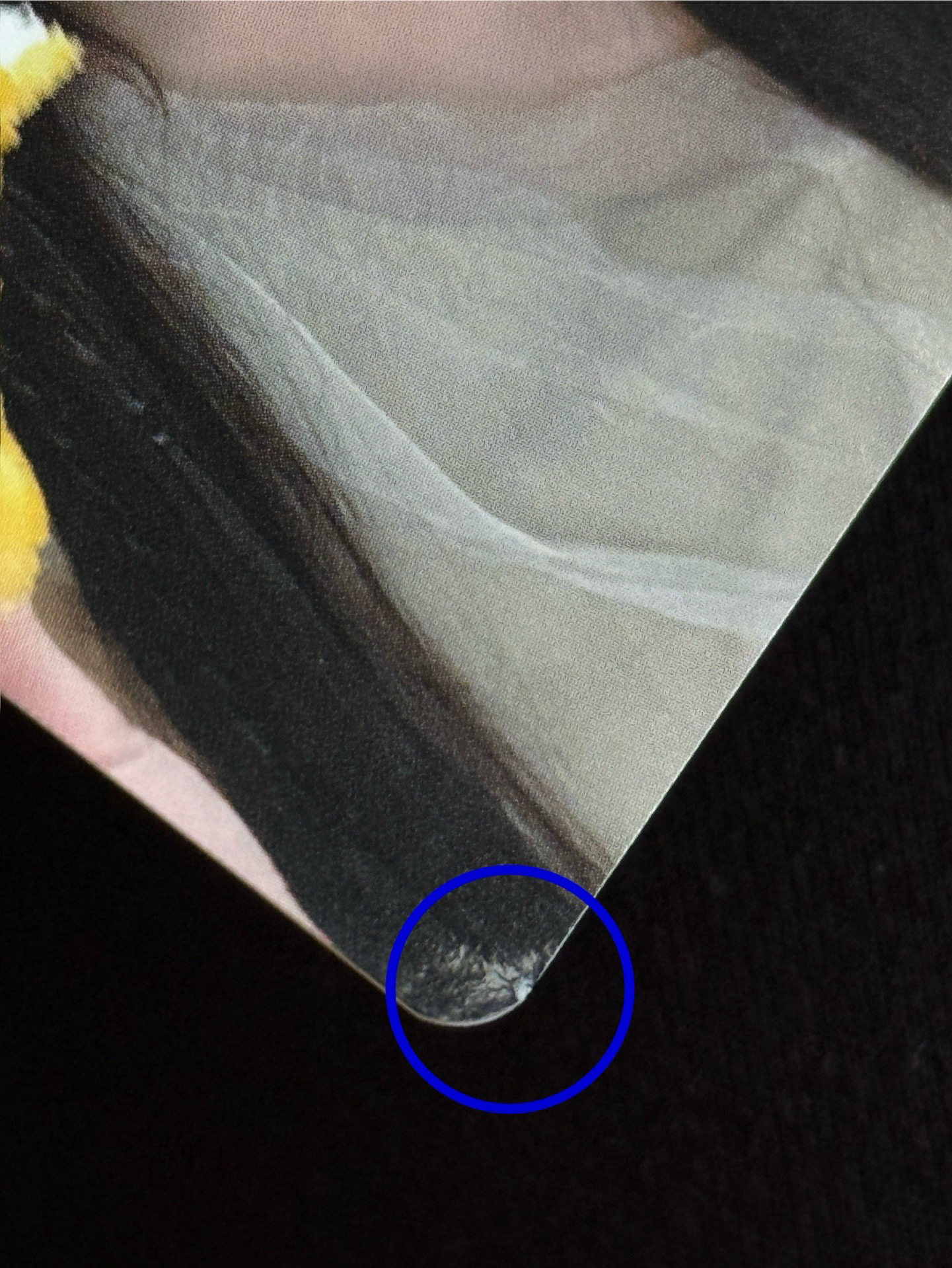 NMIXX 起司條莉薛（莉左下廠損）